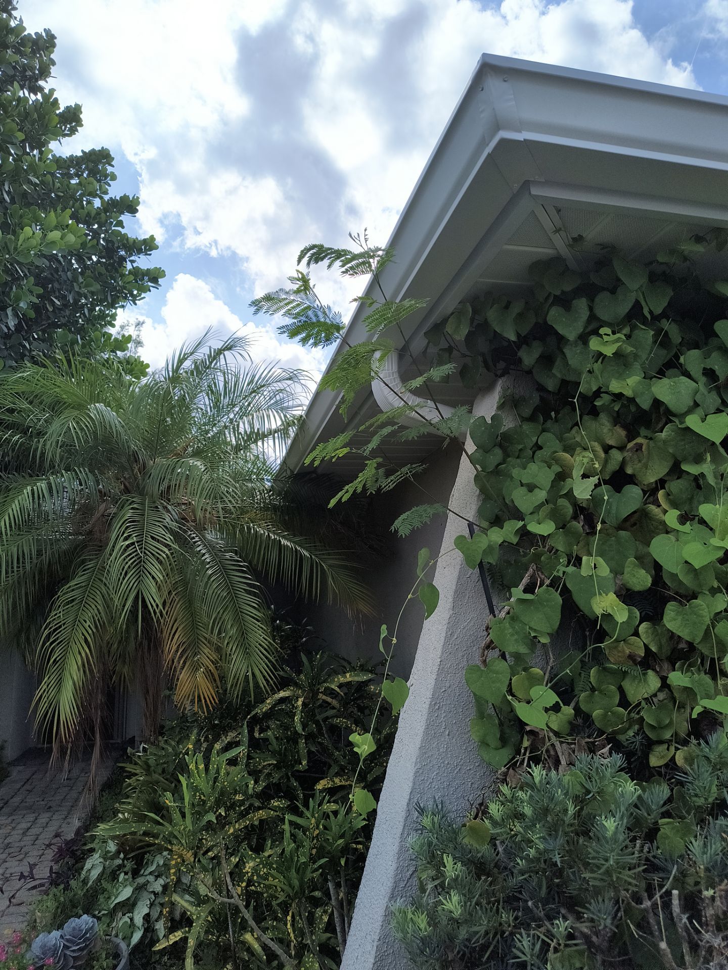 White 6-Inch Seamless Gutters in Sarasota FL by Gutter Professors