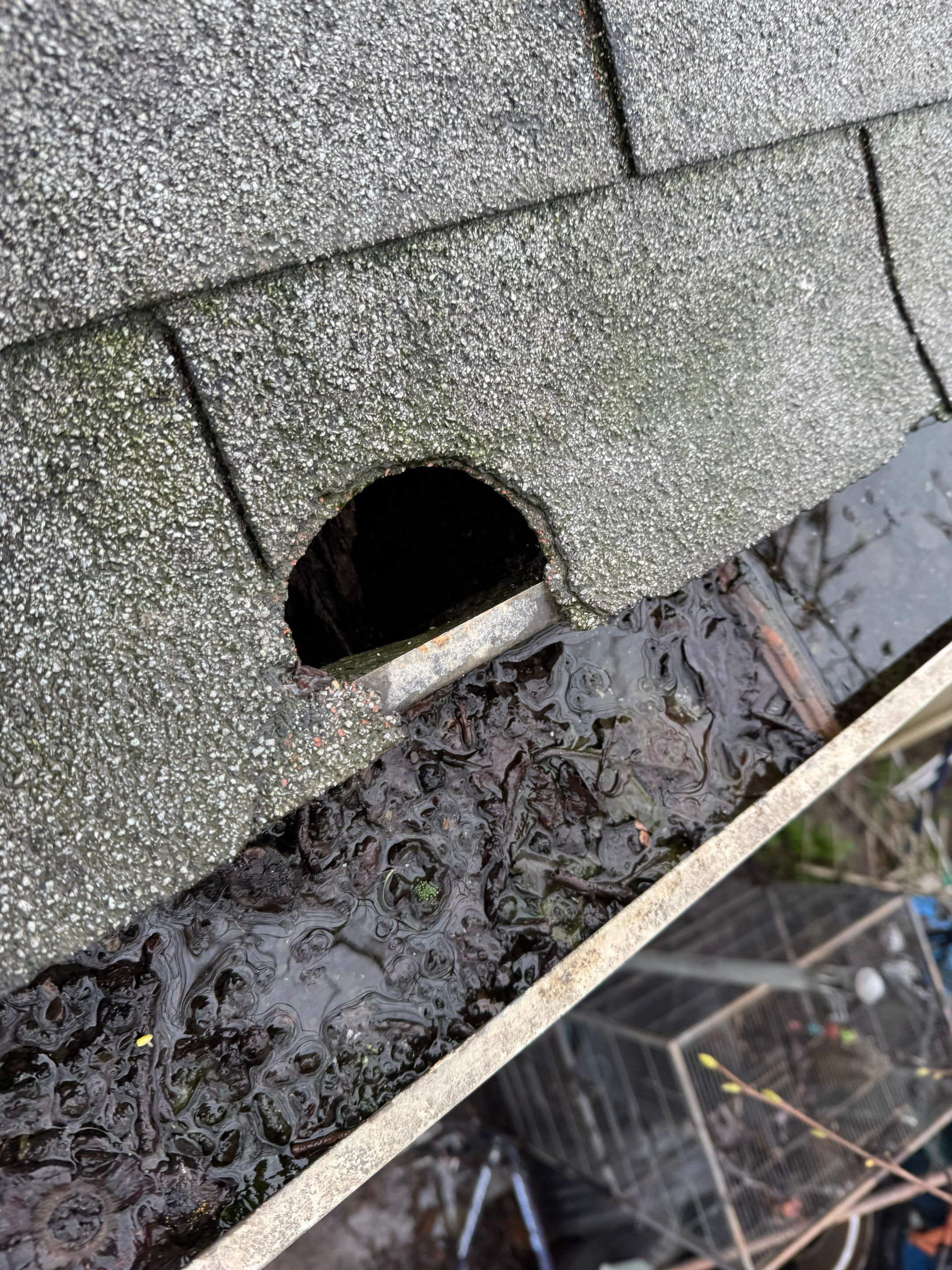 Project in West Sacramento by NuLead Construction Inc