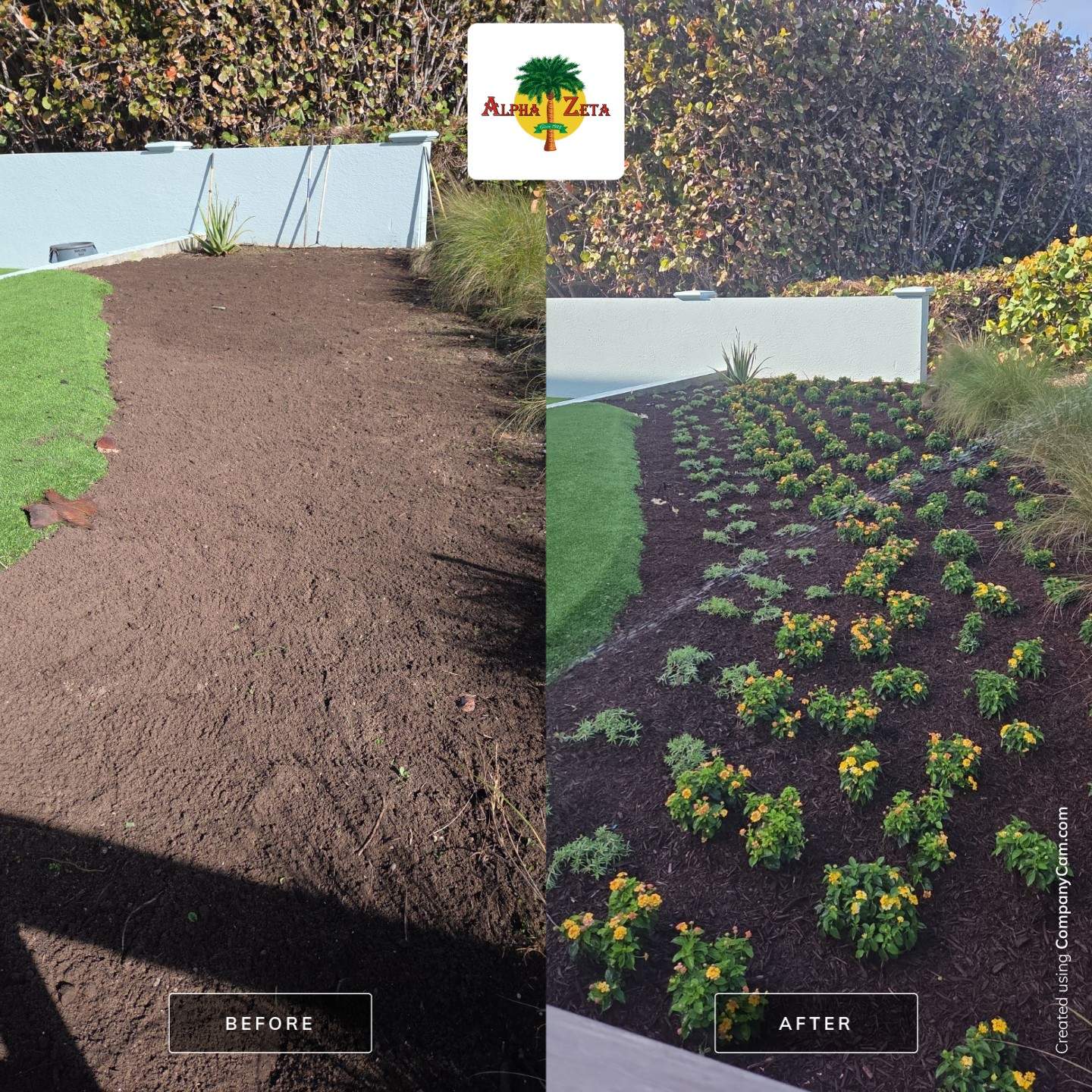Hutchinson Island Oceanfront Landscape Restoration by Alpha Zeta Enterprises Inc