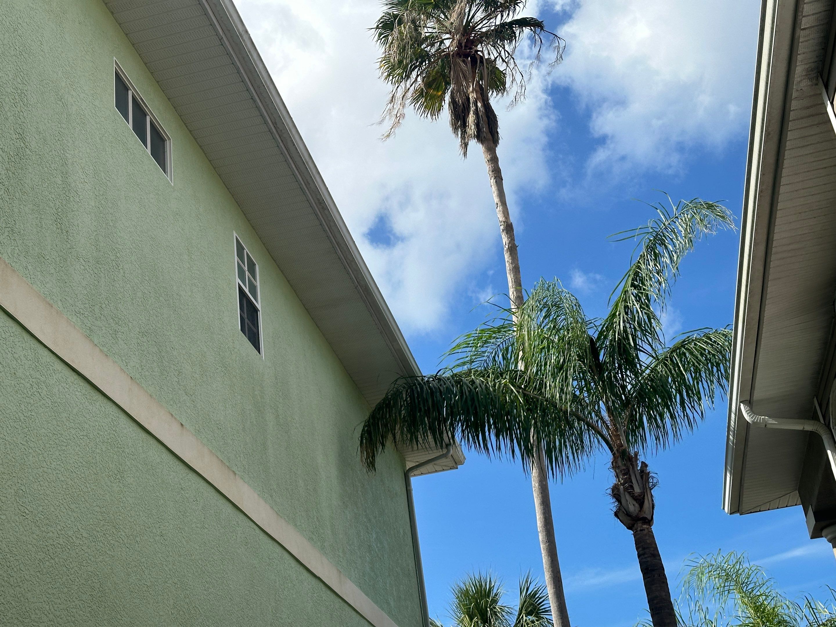 Water Damage Claim in New Port Richey by FLAPA & KeyStone