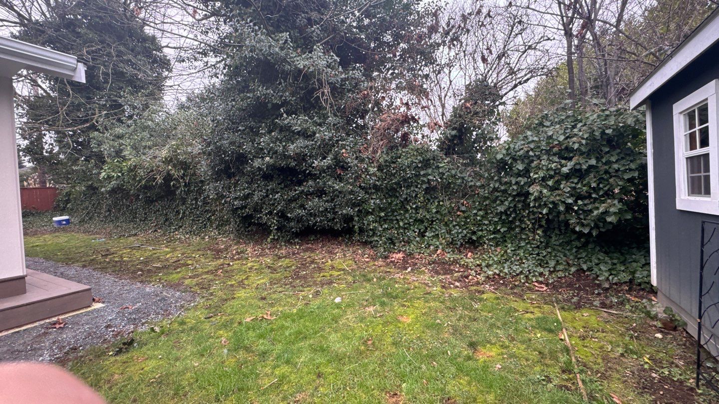 Backyard Renovation | Lynnwood  by Jireh Asphalt & Concrete Inc 