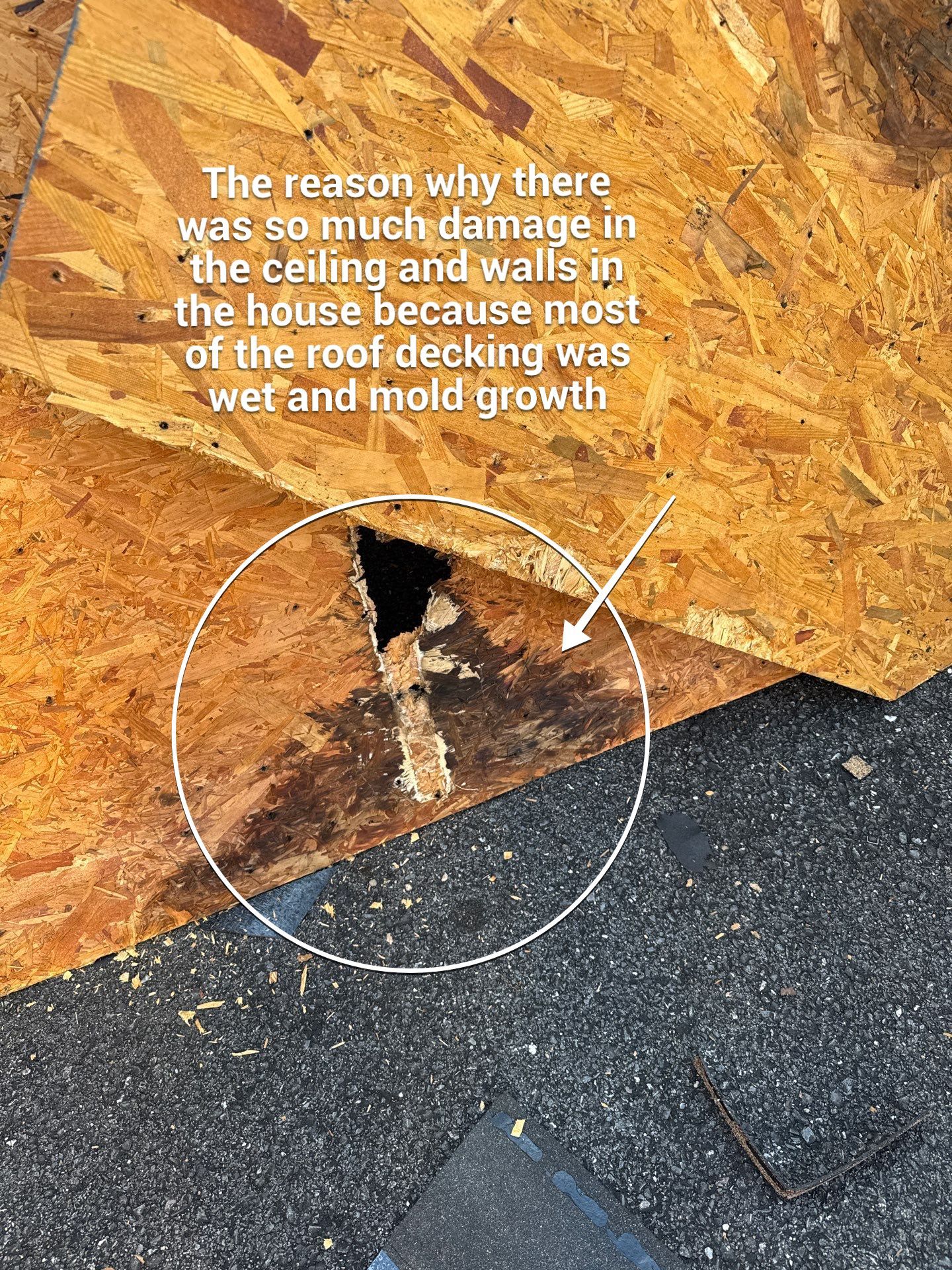 New Roof Replacement  by Alpha Design Services