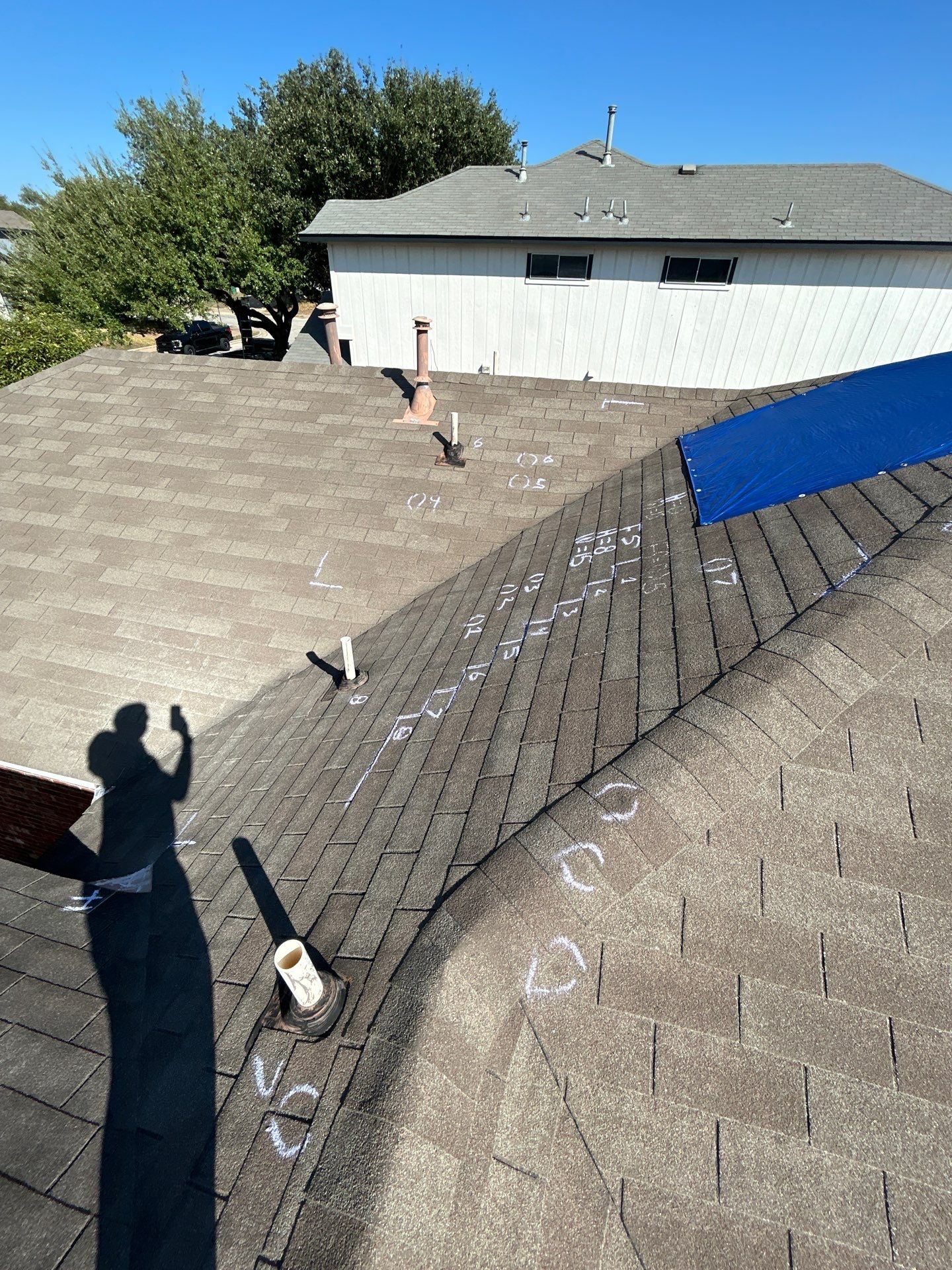 Miss Bridgette by REPS Austin Area Roofer