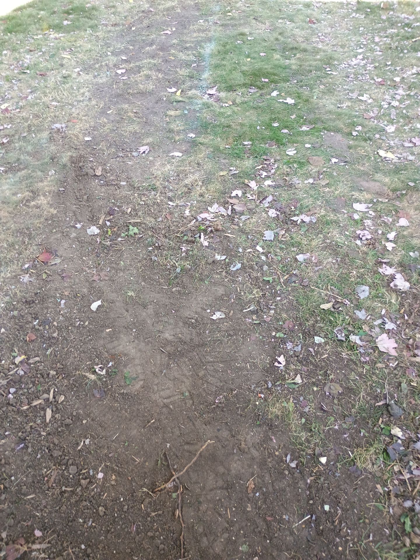 French Drain Installation for Michael by Waterproofing Northeast