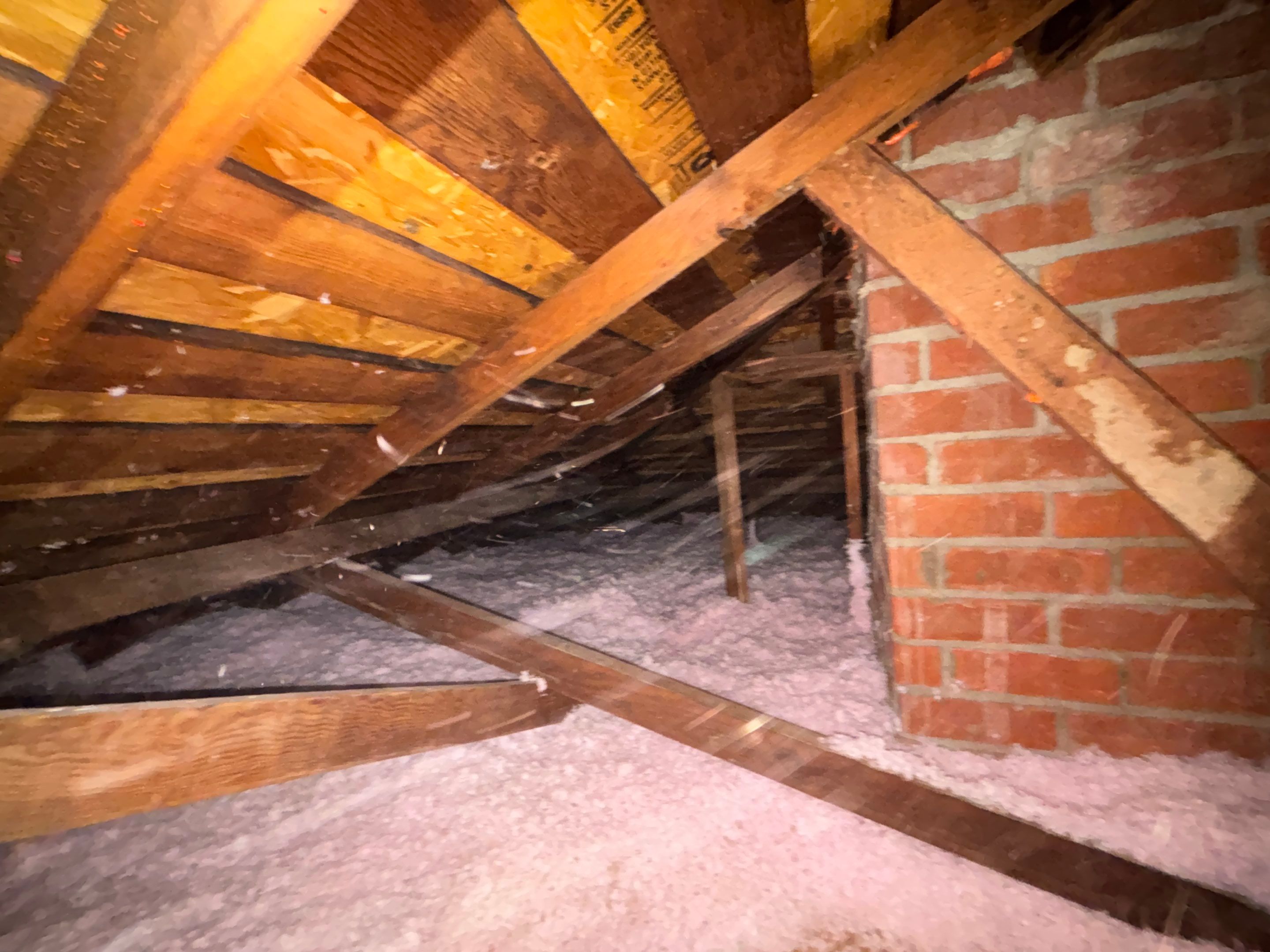 Project in Seal Beach by Insulation Labs