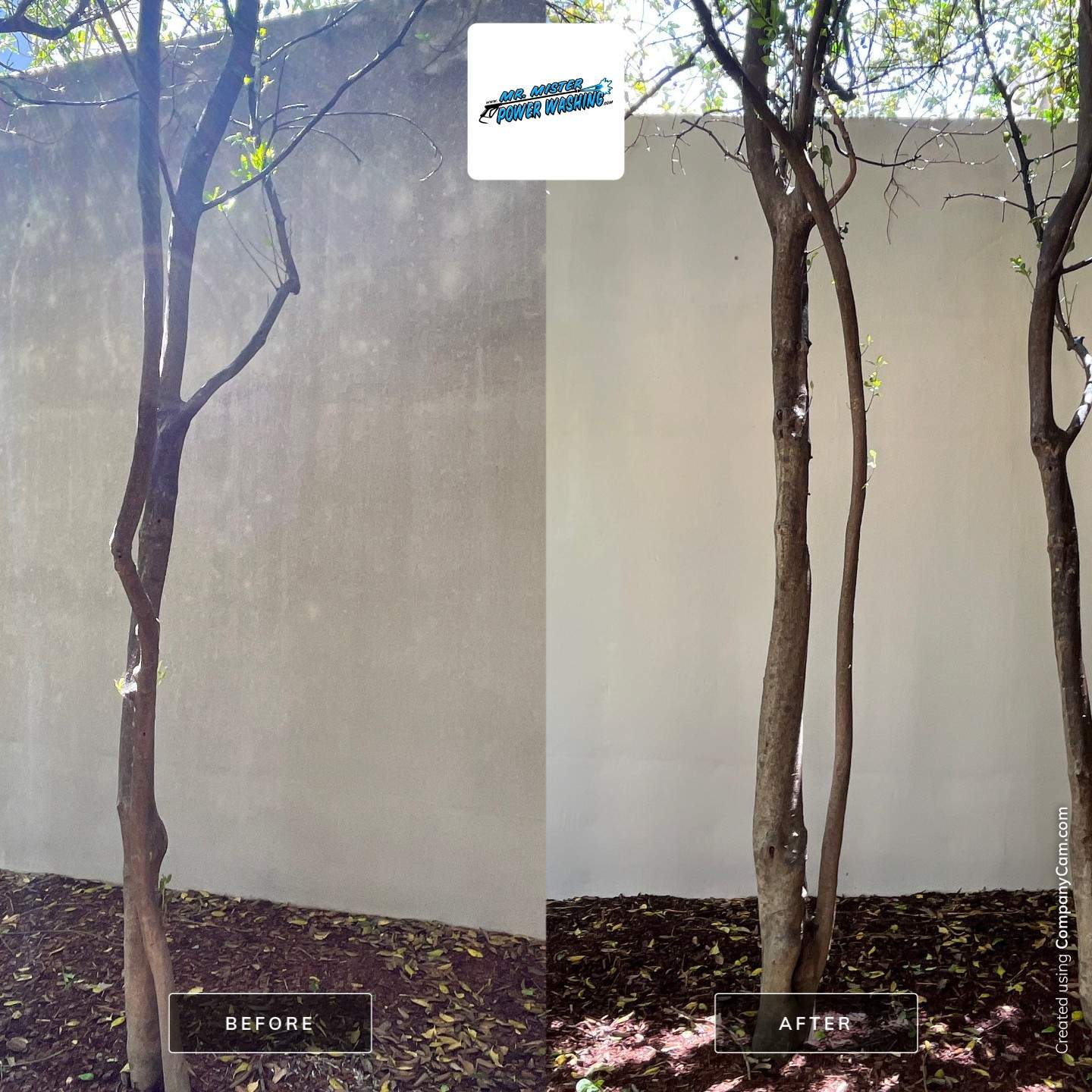 Blackwell Medical Building by Mr. Mister Power Washing