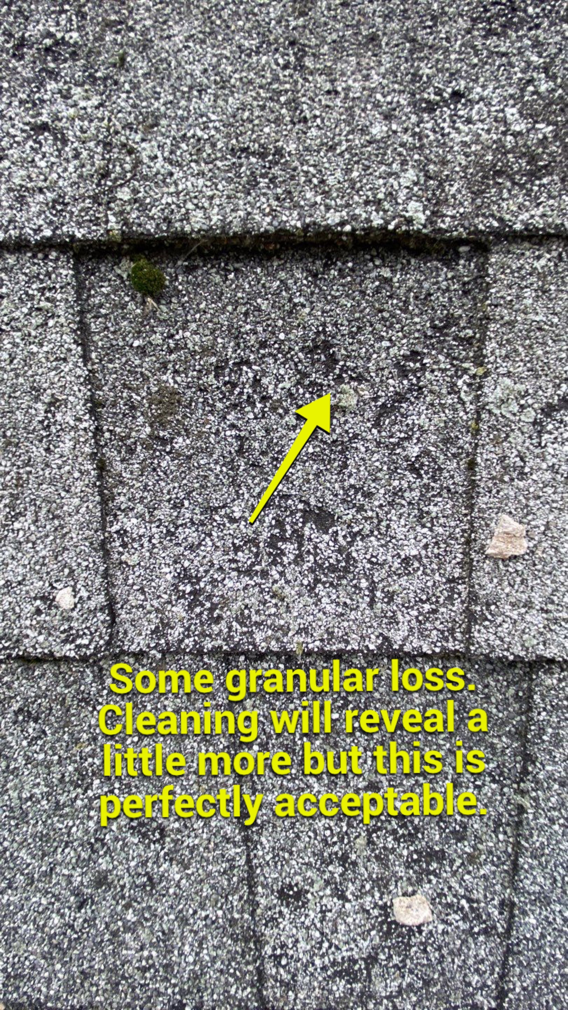 Save The Life Of Another Roof. Don’t Prematurely Replace Your Roof.  by Save My Roof,LLC