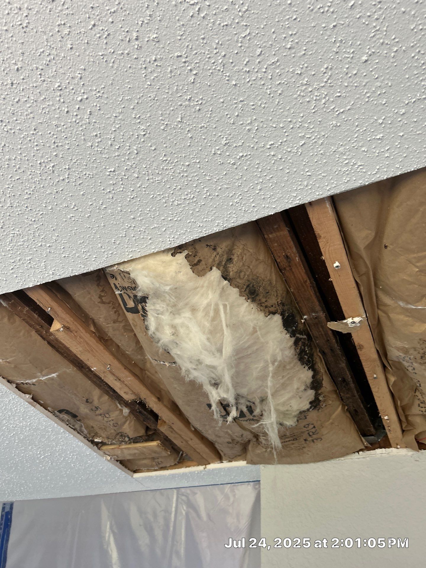 Mold Inspection & Mold Removal In St. Petersburg, FL by Ampm Restoration Services