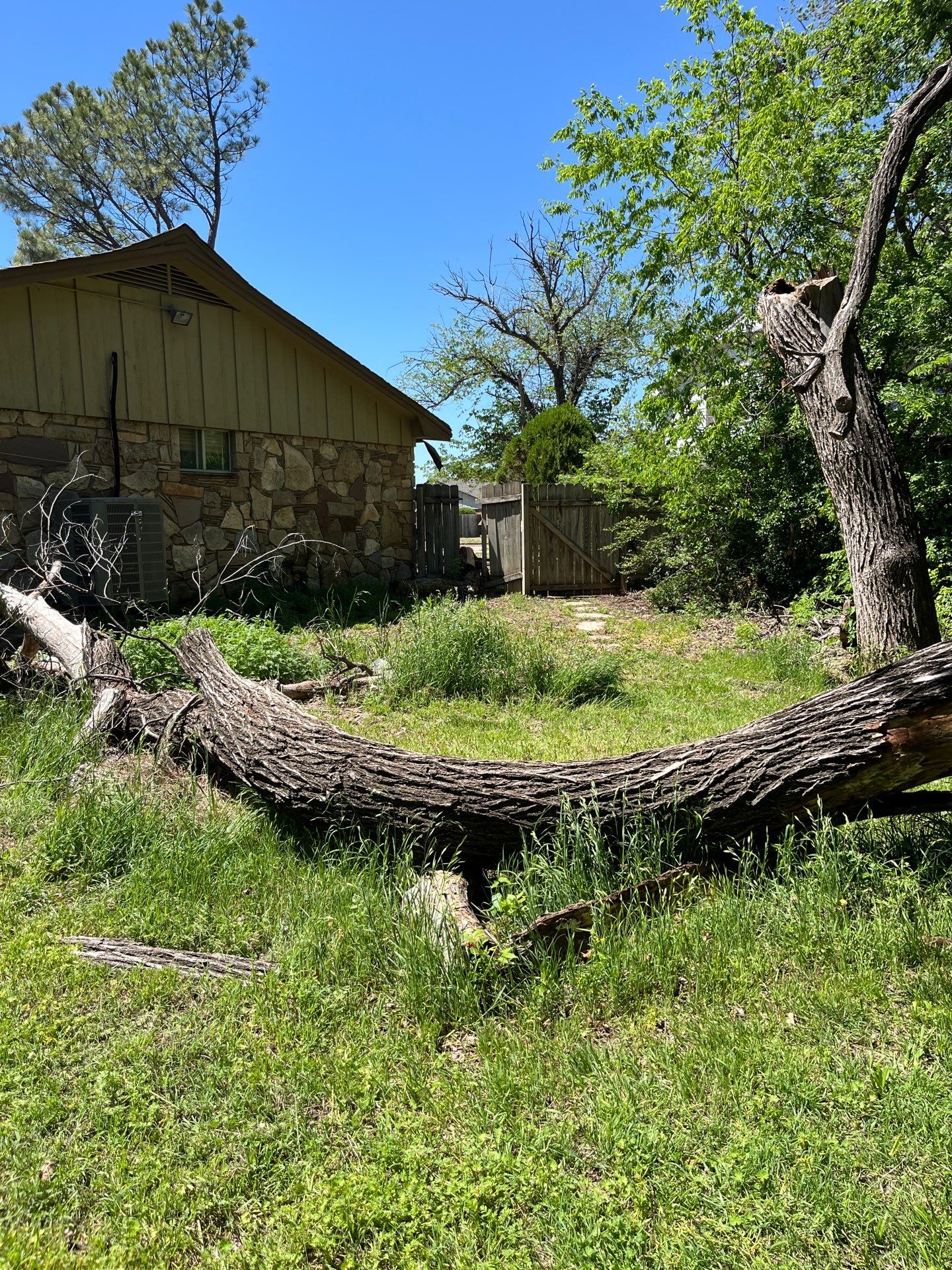 Tree Removal by Clays Services Inc