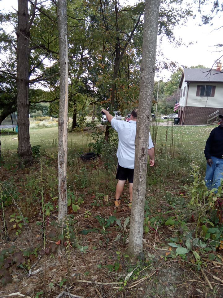 Tree Removal using Tree Removal by Mike Jones & Sons Tree Service LLC 