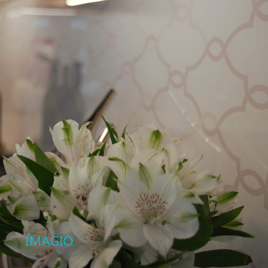 Kitchen Remodel using IMAGIO Solid Glass Backsplash Arabesque Drops by IMAGIO