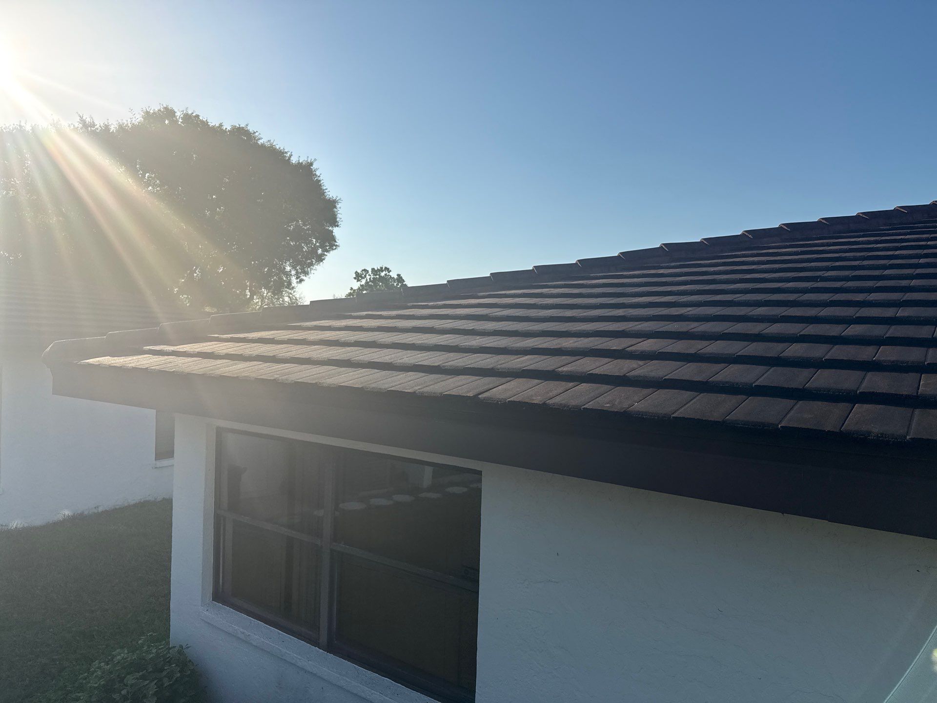 Tile Roof Cleaning – Vivenda at Bradenton I (5-Star Review & Plant Protection) by Sunshine AquaWash