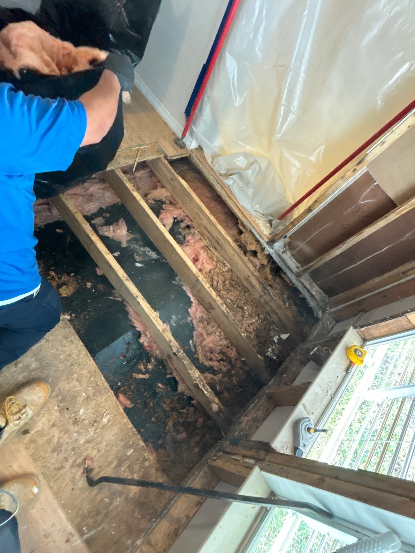 Mold Remediation Palmetto by Ampm Restoration Services 