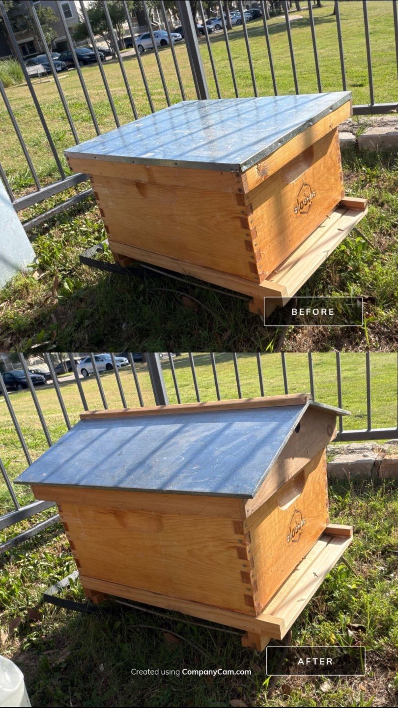 Poolside Bees at Apartment Complex by Rockwall Honey Bee Company