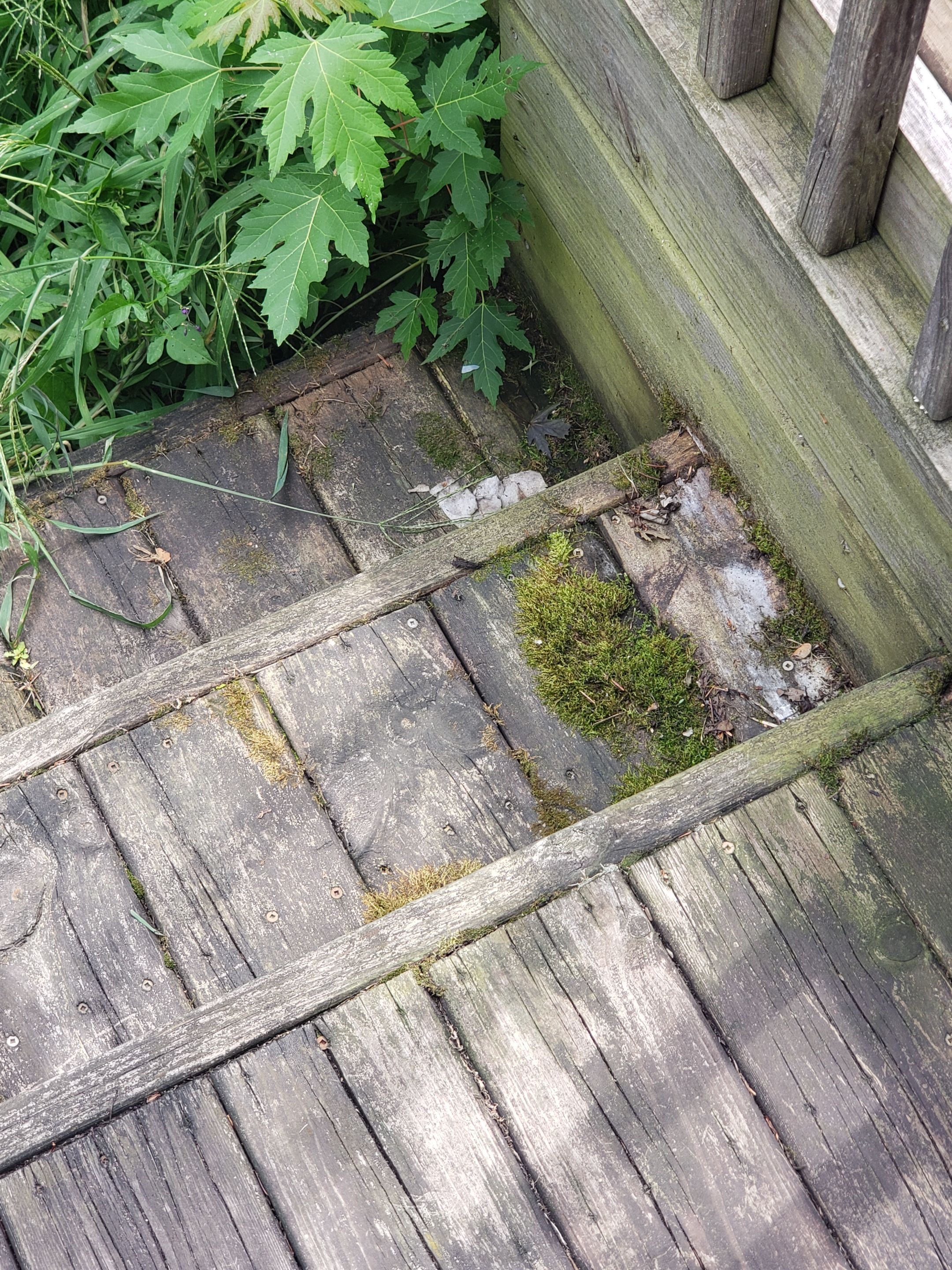 Isaac's Deck Restoration by Map Quality Fencing & Decks