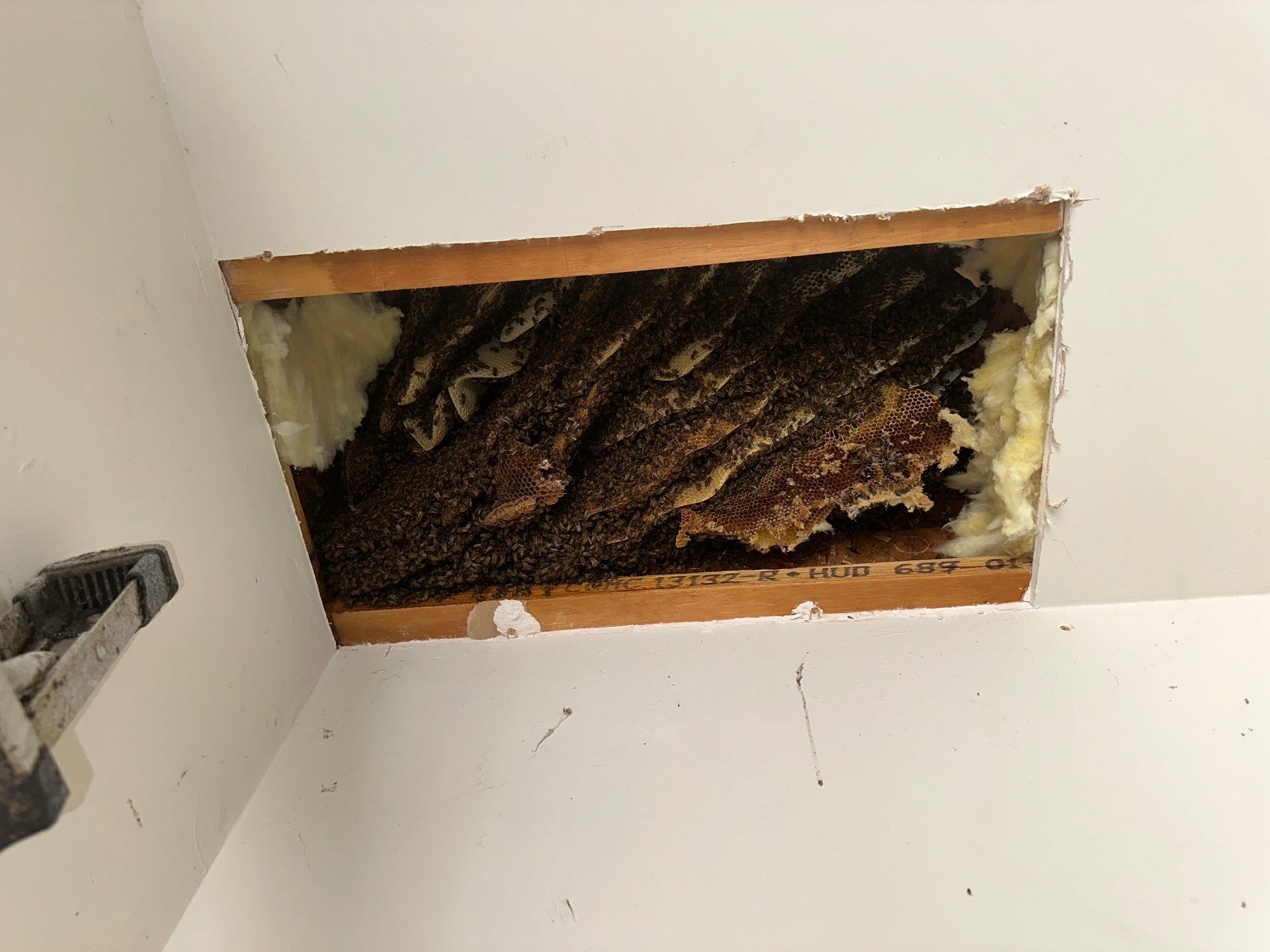 First Spring 2026 by Rockwall Honey Bee Company