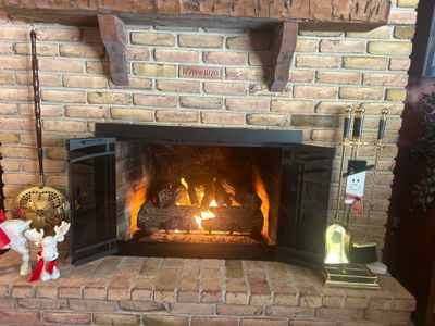 Real Fyre Gas Log Set