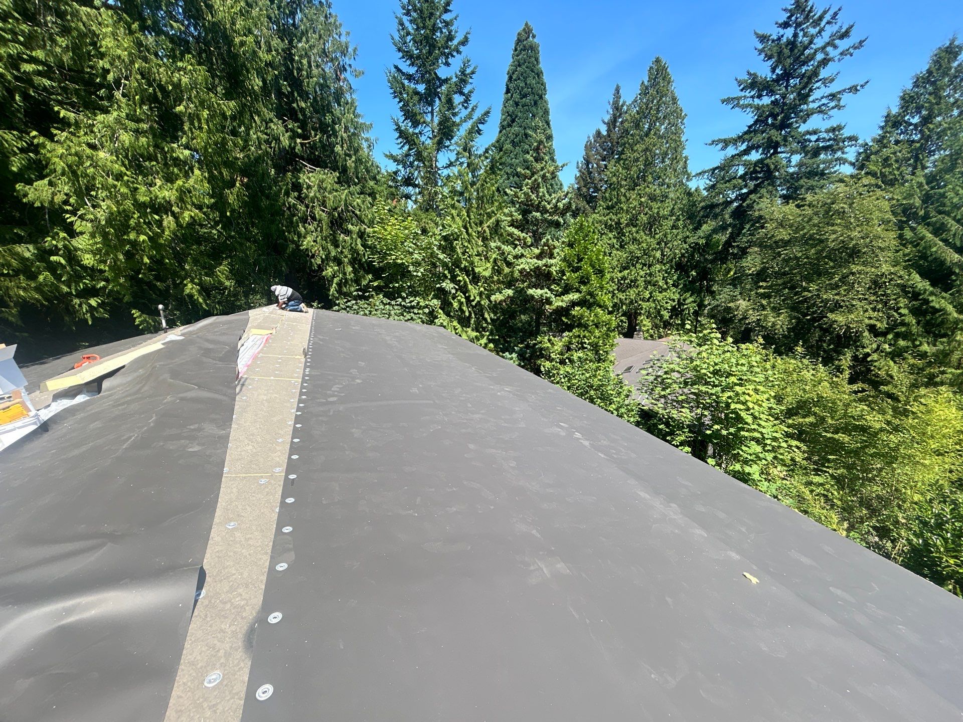 Project in Seattle by Peaks and Valleys Construction