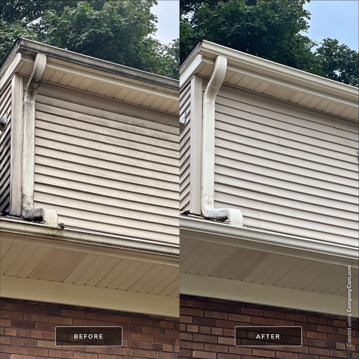 Project in Arlington Heights by Simmons Power & Soft Washing