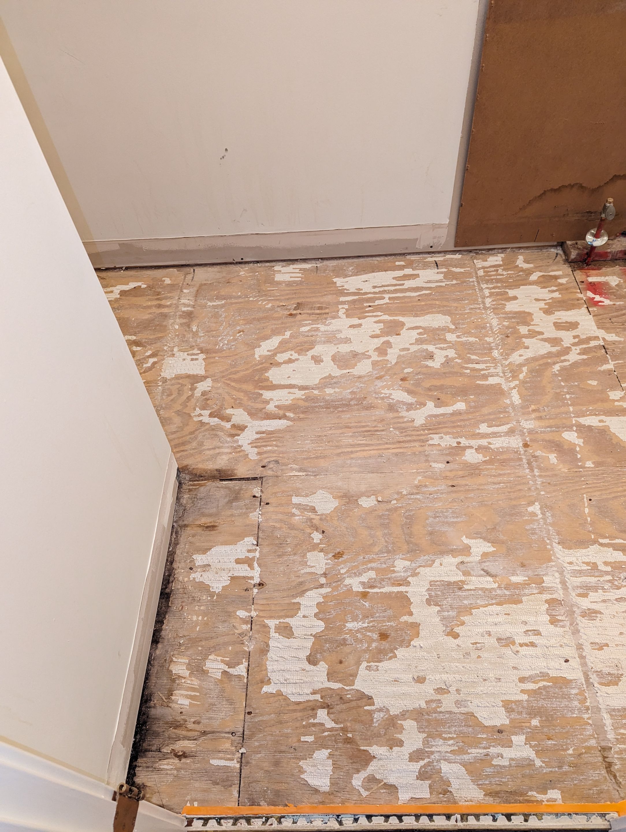 Mold Remediation and Water Mitigation in Louisville, KY by ANR Restoration