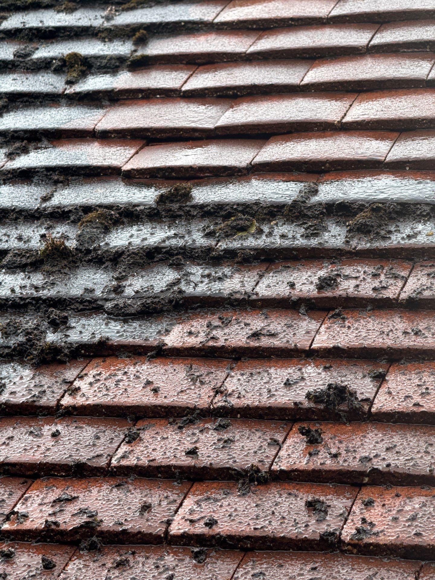 Roof Clean  - Moss Removal - Gutter Clean using Honda 15lpm Low Pressure Washing Machine by Ges Exterior Cleaning ltd