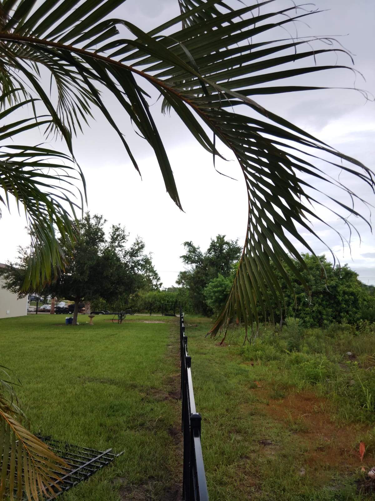 Black Aluminum Picket Fence Installation for Port Charlotte Residence by True Fence LLC