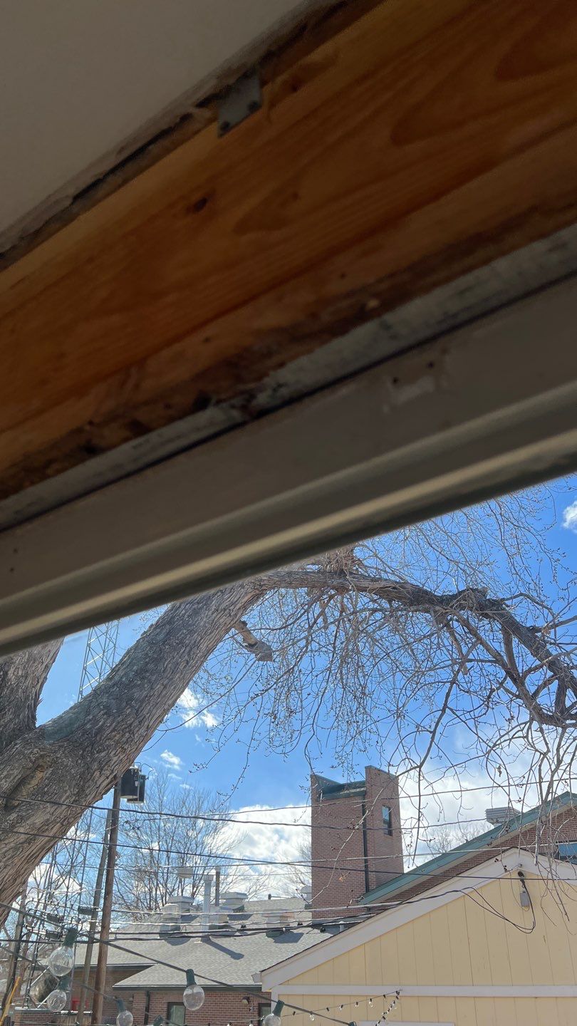 Mold Remediation  by Accountable Home Services