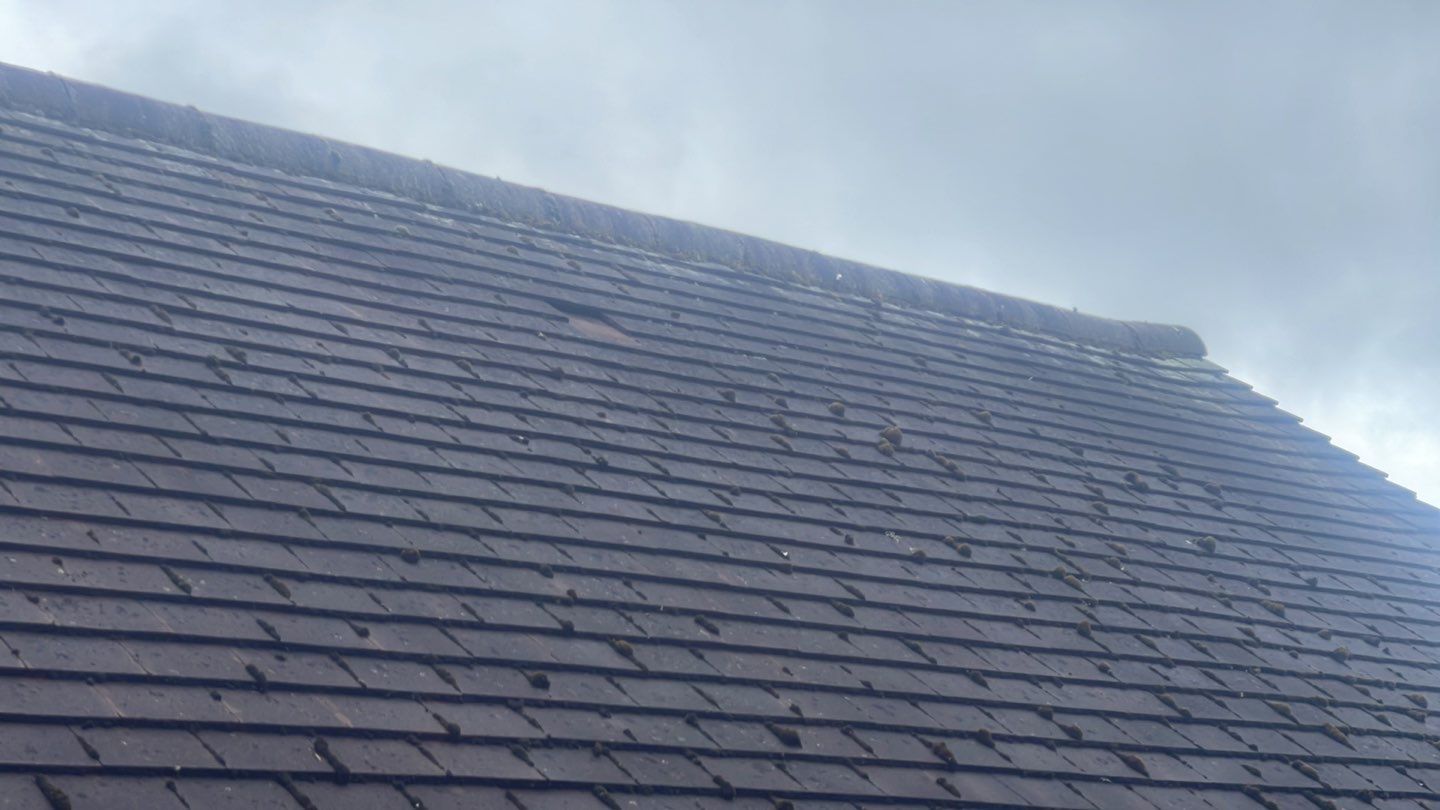 Roof Clean - Biocide Treatment using Honda 15lpm Low Pressure Washing Machine by Ges Exterior Cleaning ltd