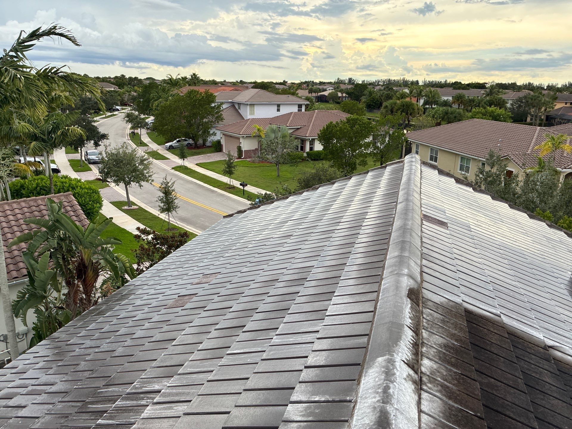 Heron Bay Parkland Painting by BKB Pressure Cleaning LLC