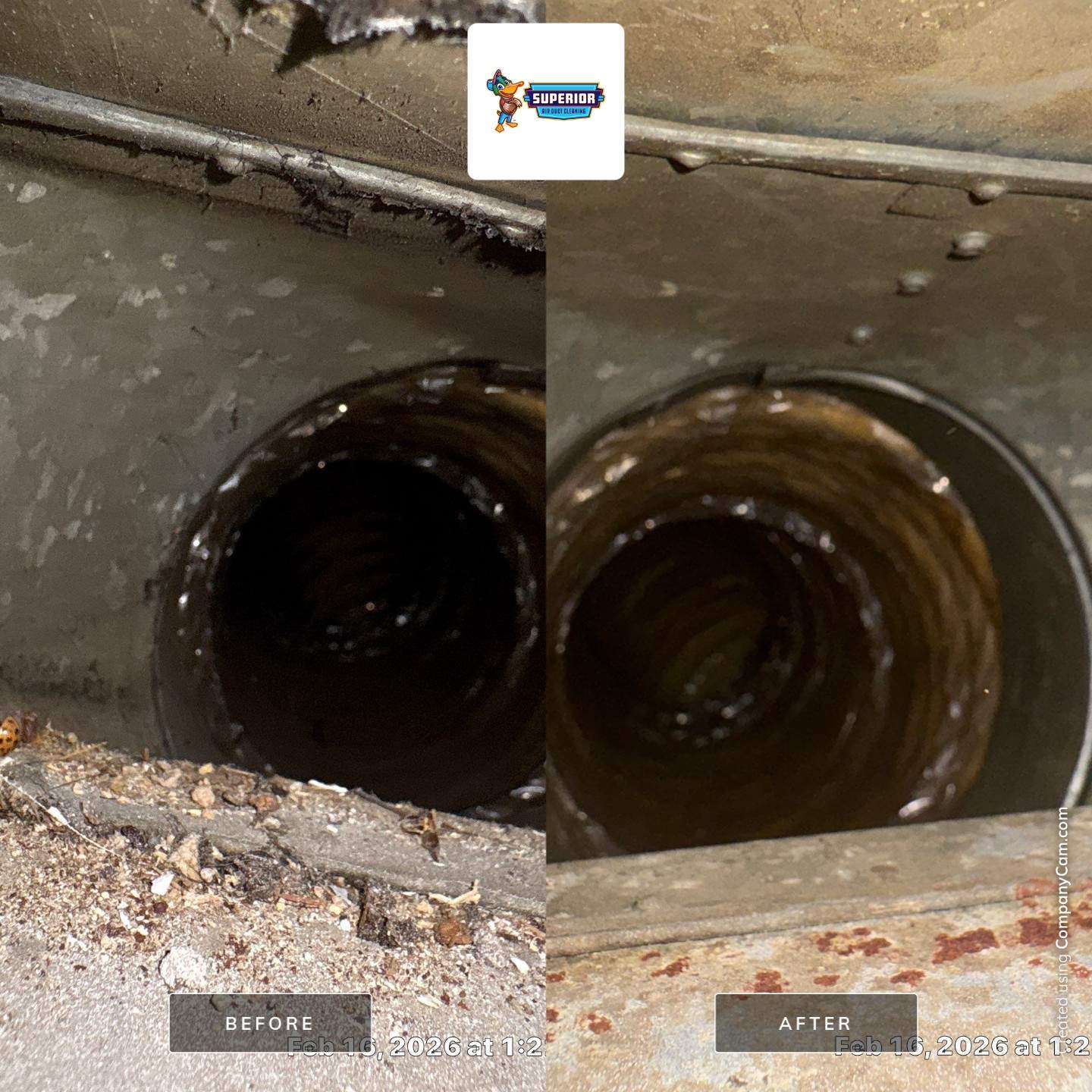 Air Duct Cleaning in Ellwood City, PA by Superior Air Duct Cleaning