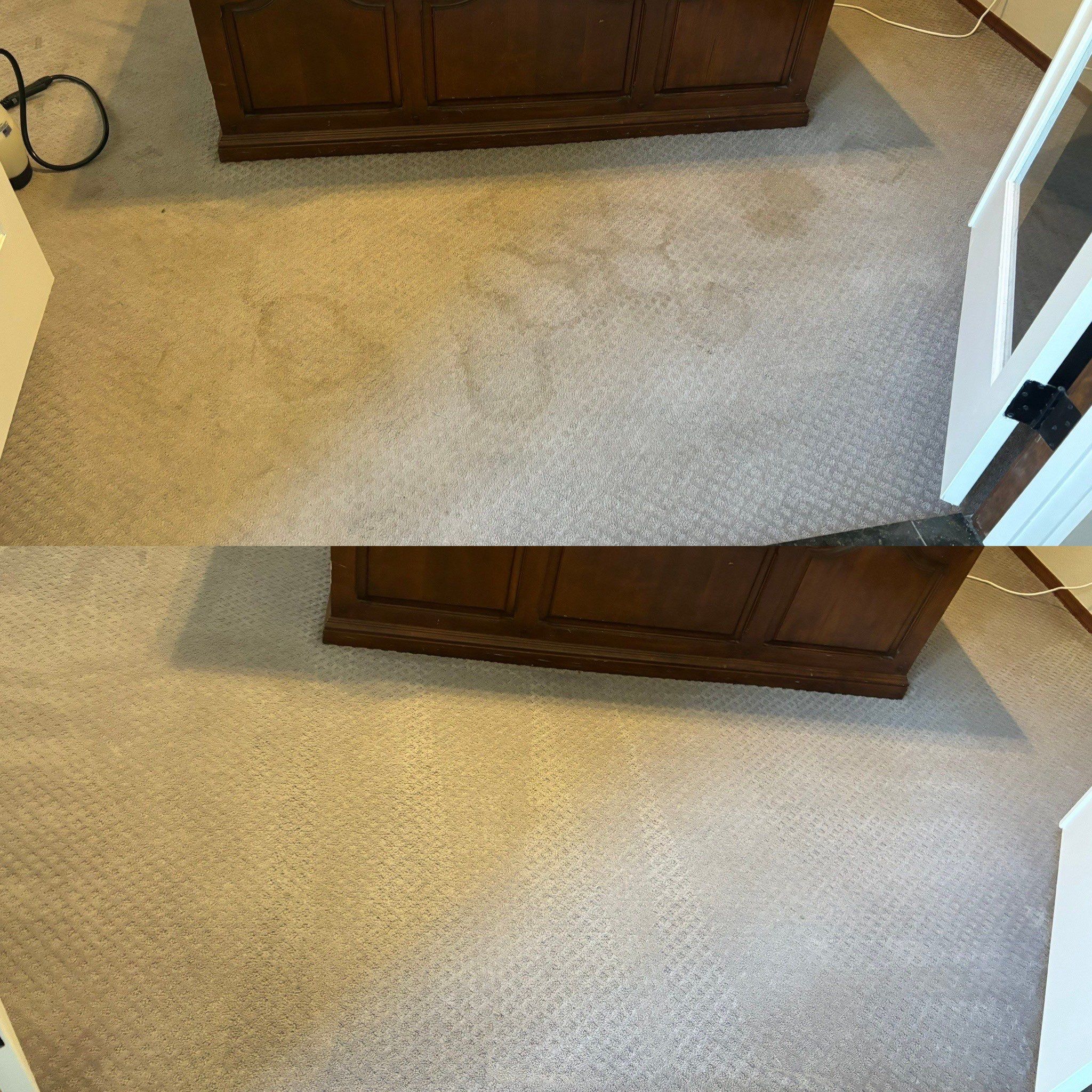 the carpet is being deep cleaned removing stains and dirt restoring its original appearance and freshness