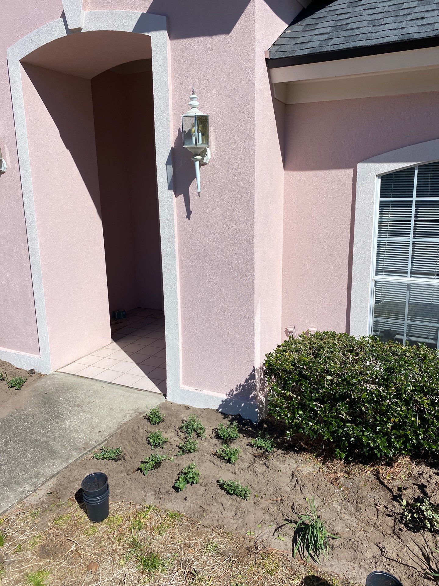 Deerwood Resident | Tree Removal & Clean-Up by ProGreen Services