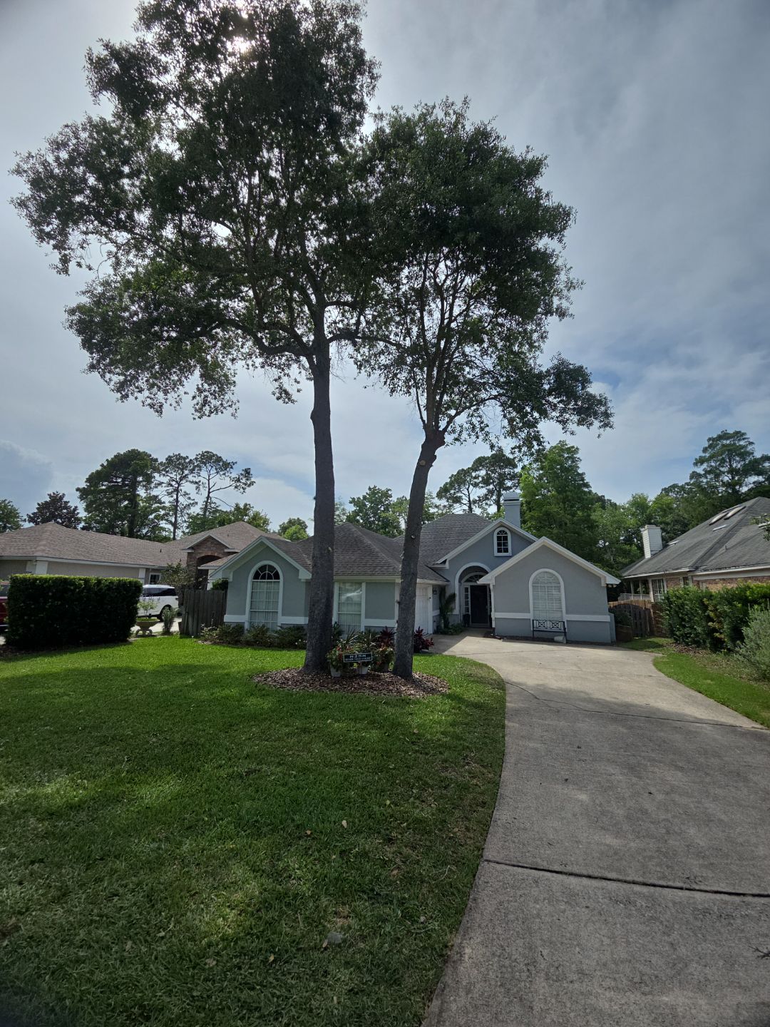 Deerwood Resident | Tree Trimming by ProGreen Services