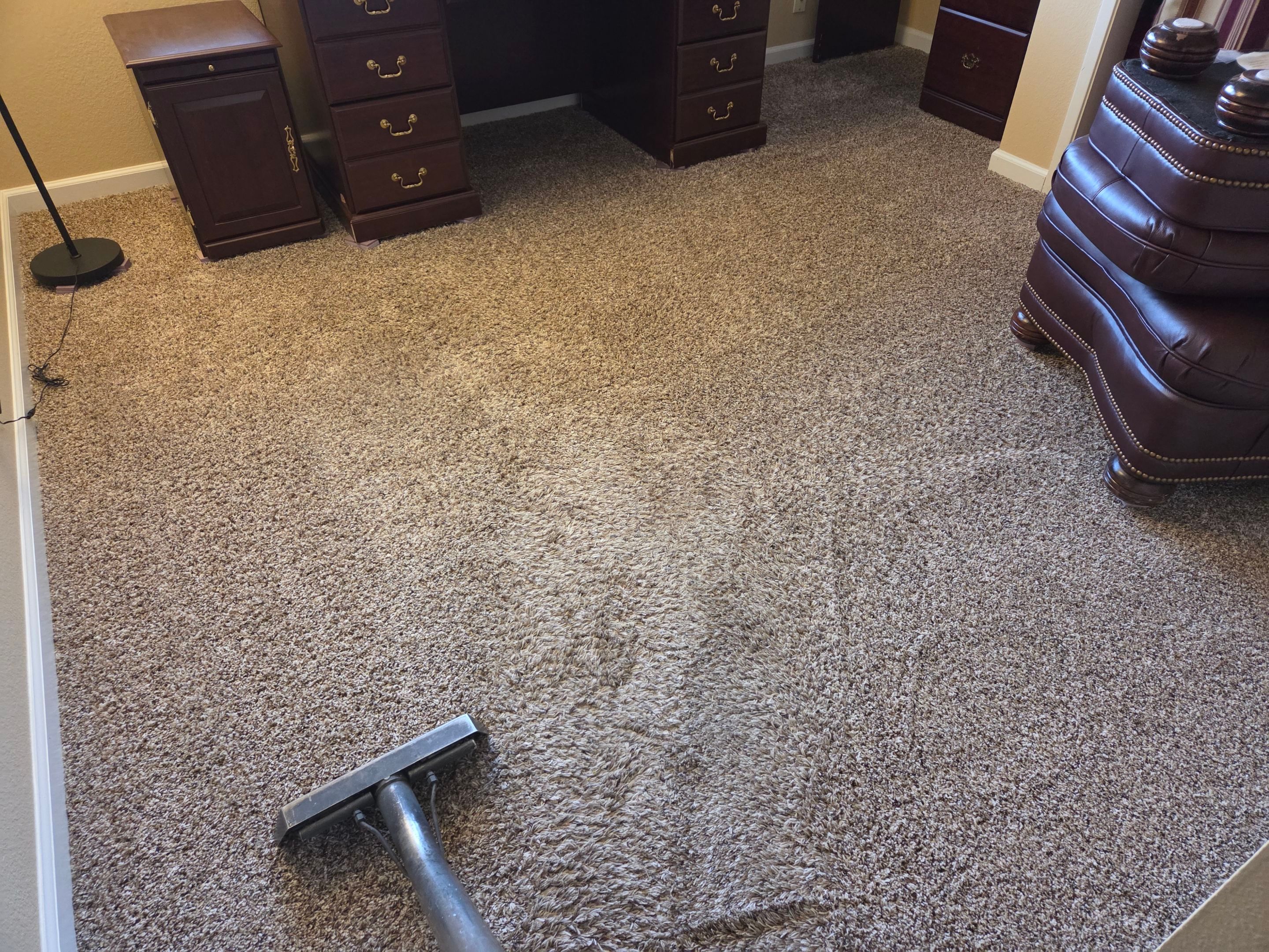 Carpet Cleaning for a House Listing by Ardent Carpet Restore LLC