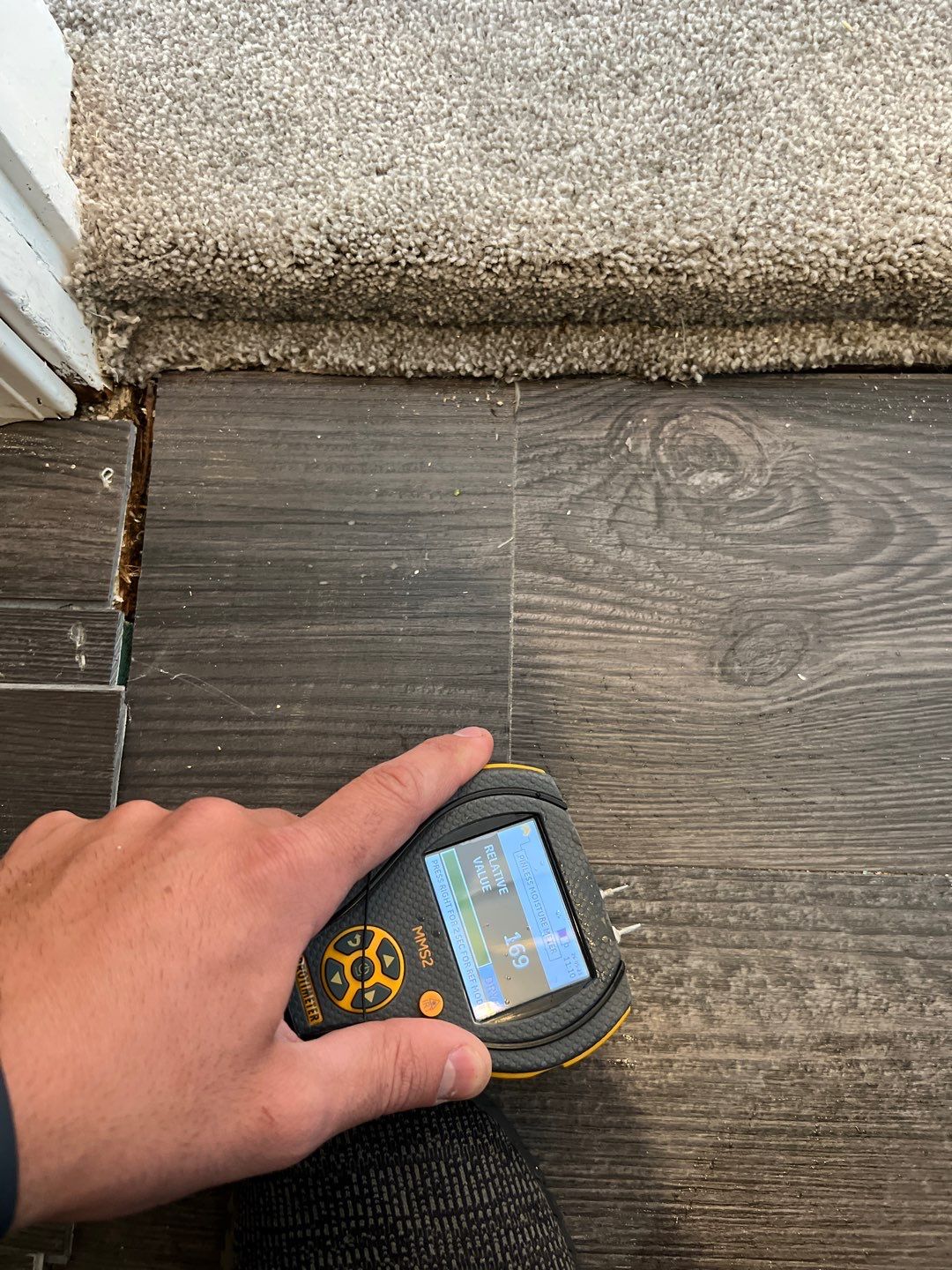 Project in Novi by EzDry Water Mitigation & Property Restoration