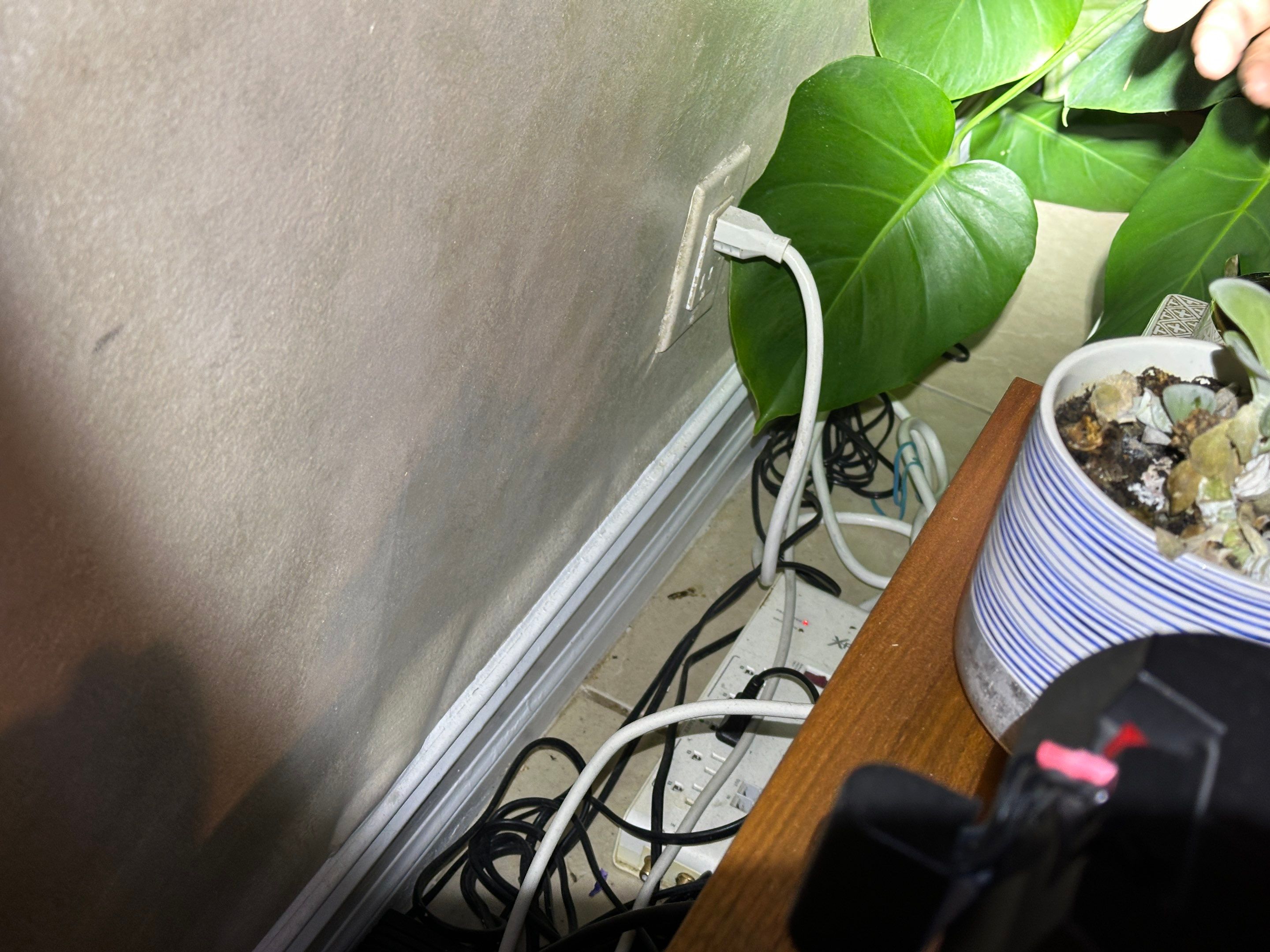 Water Damage Claim in Royal Palm Beach by FLAPA & KeyStone