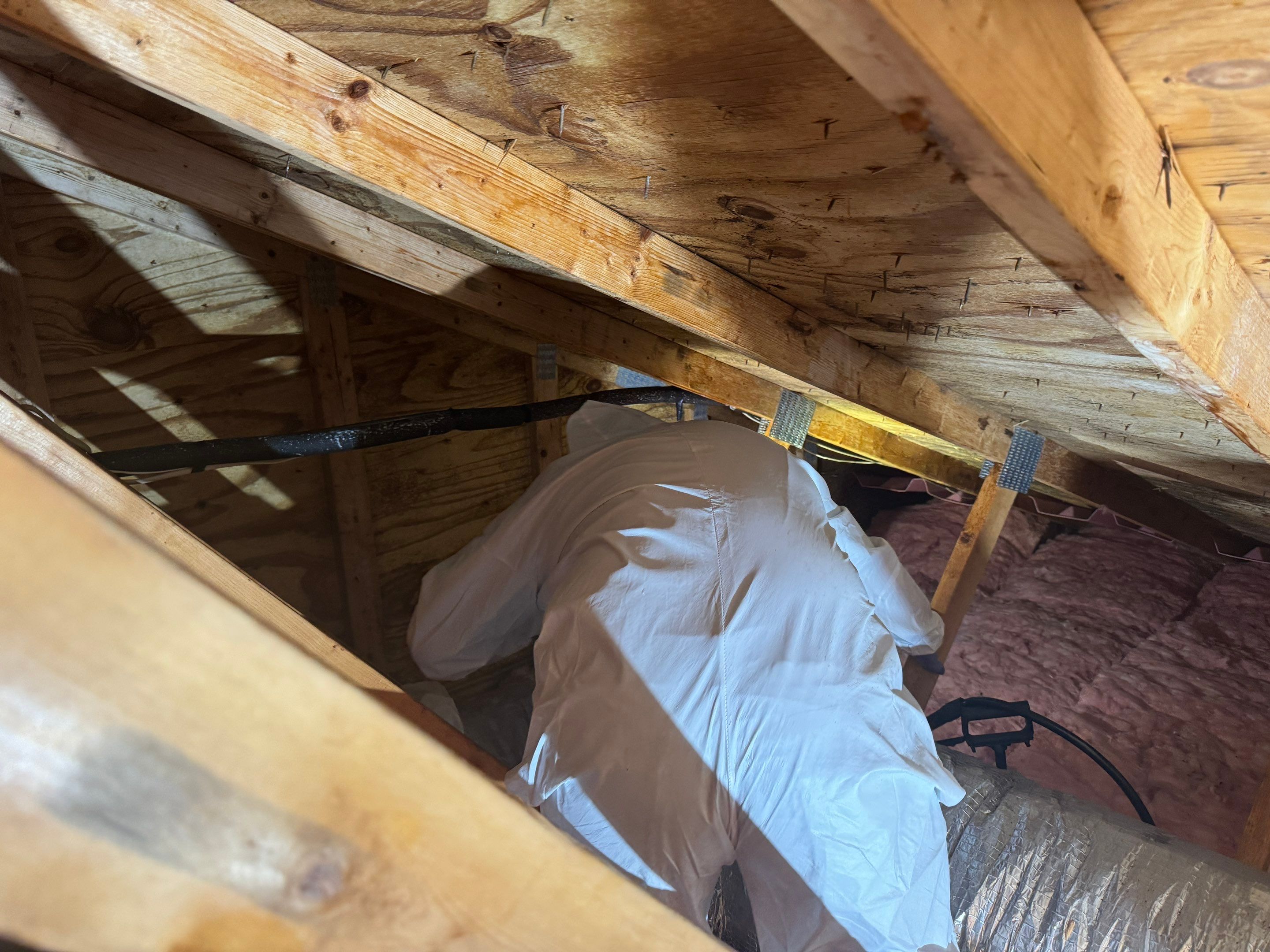 Attic Mold Remediation by Home Guarantee, LLC