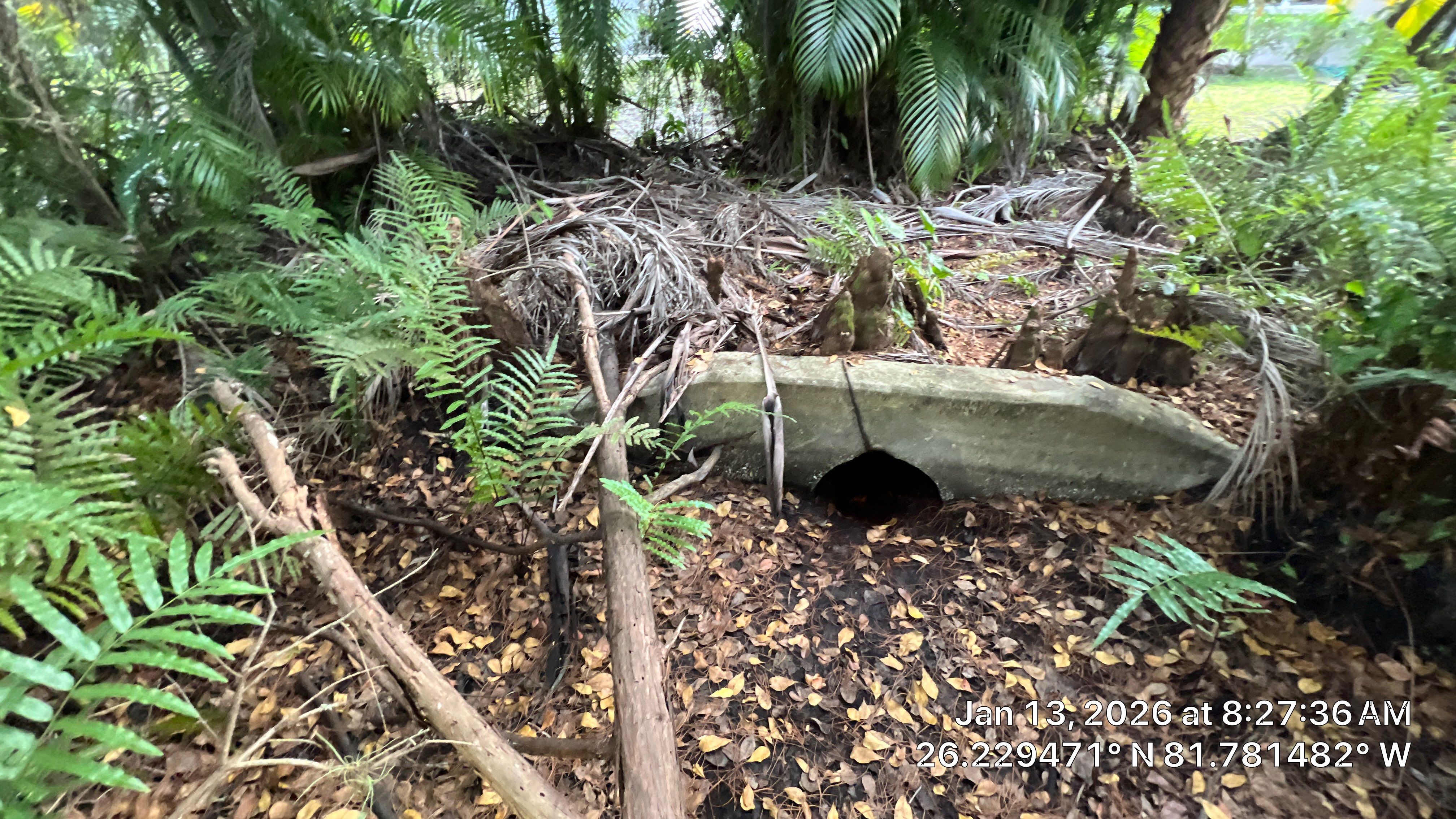 Naples Community Root Intrusion Investigation with P.R.S. by APS Power & Water