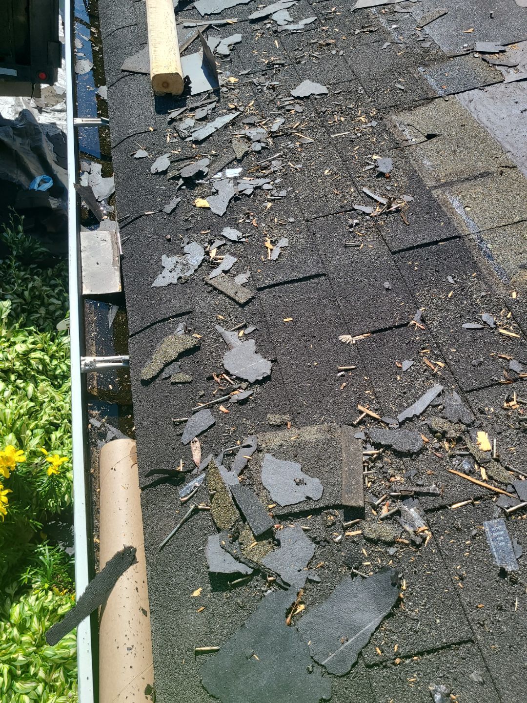 Springfield: CertainTeed Landmark Pro Designer Shingles in Max Def Moire Black by RM Banning, Inc.