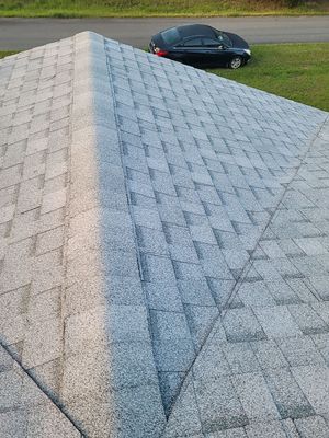 Shingle Reroof Replacement Summerfield FL