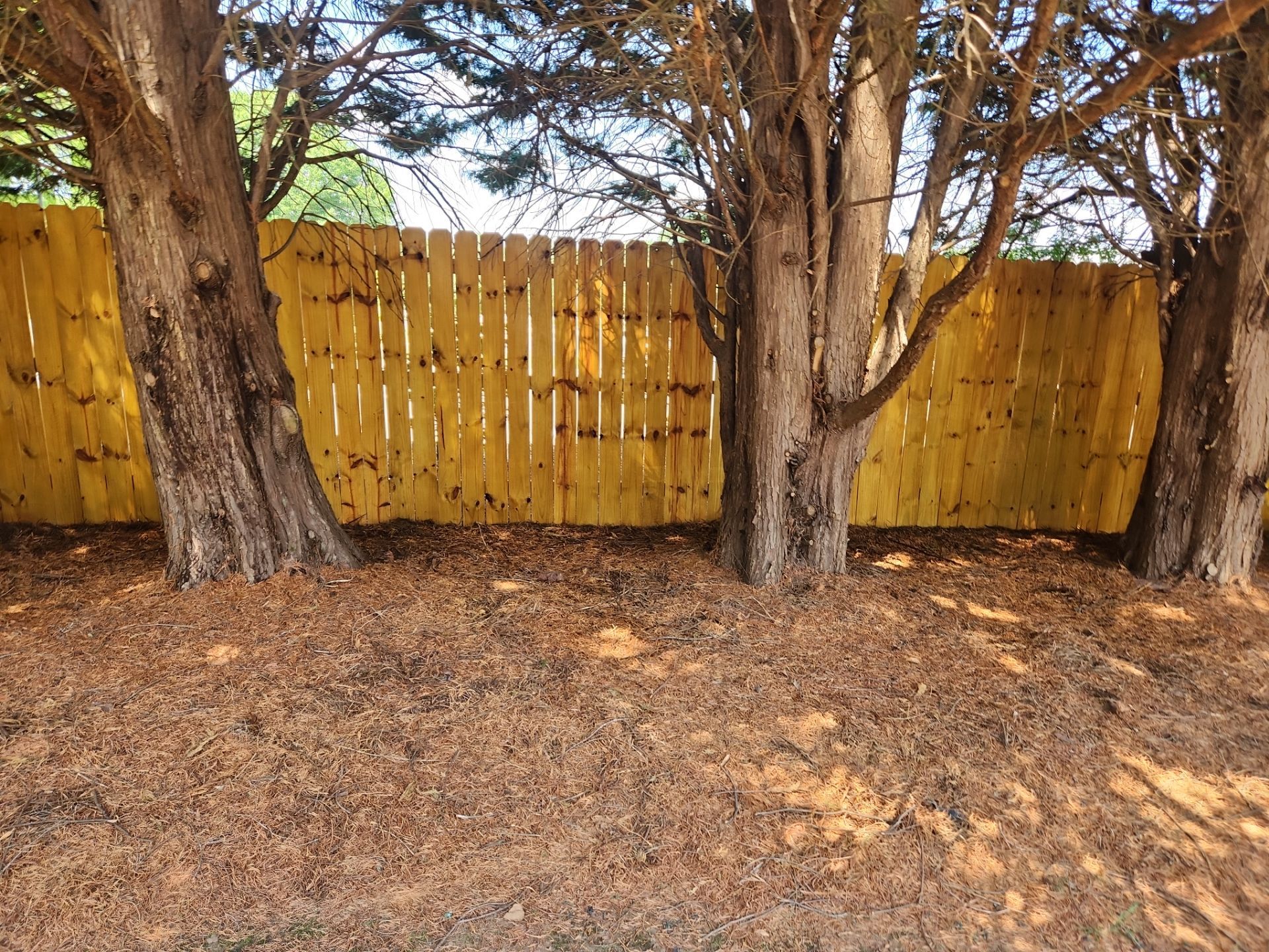 Fence using Wood Sealant by DuraSeal