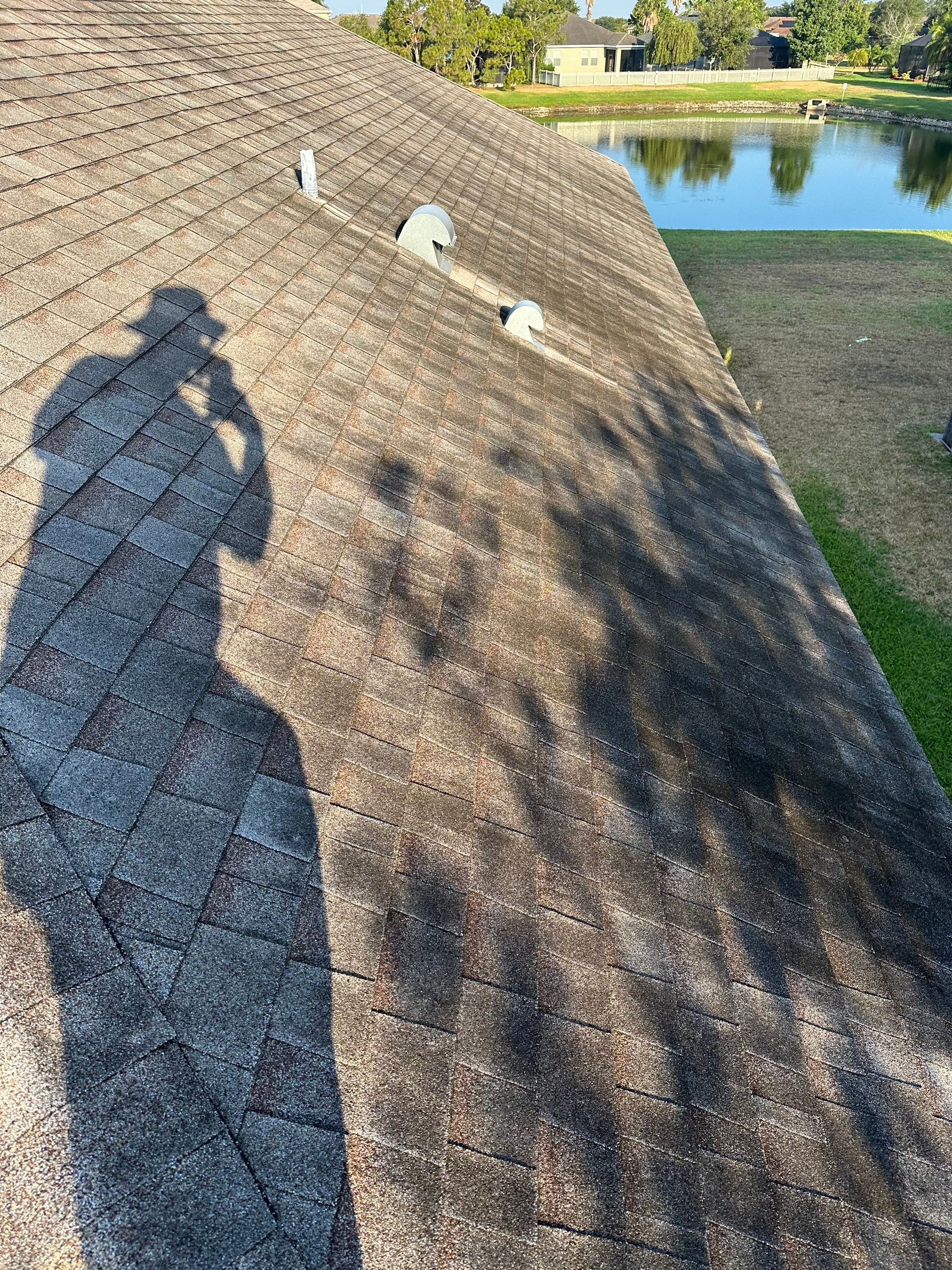 Asphalt Shingle Roof Soft Wash Cleaning & Concrete Pressure Washing in CopperStone Community, Parrish, FL by Sunshine AquaWash