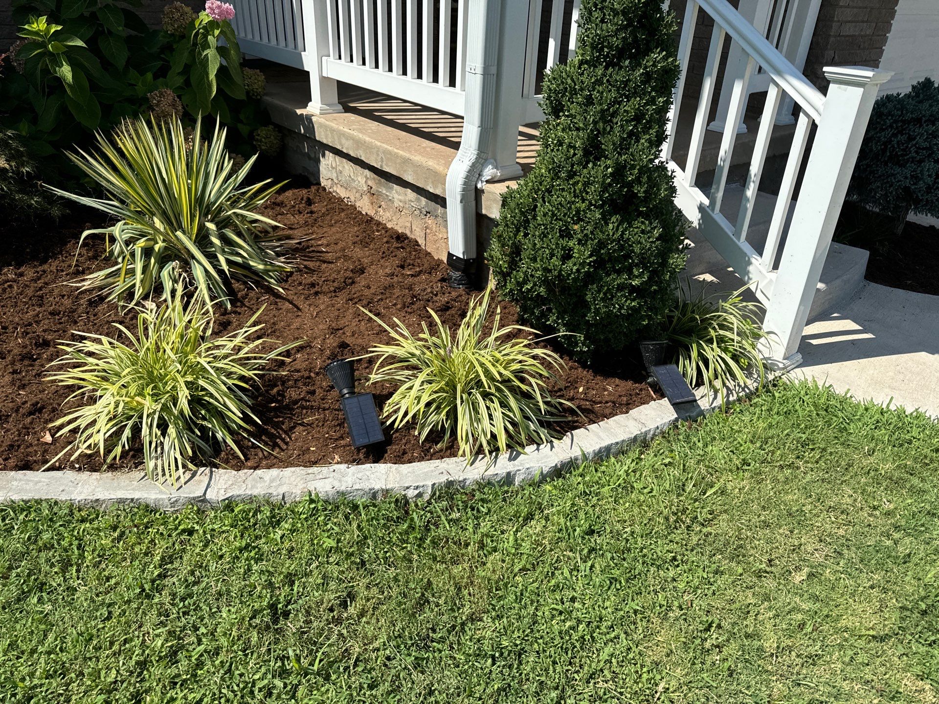 Landscape using Crepe Myrtle Plant by Clays Services Inc