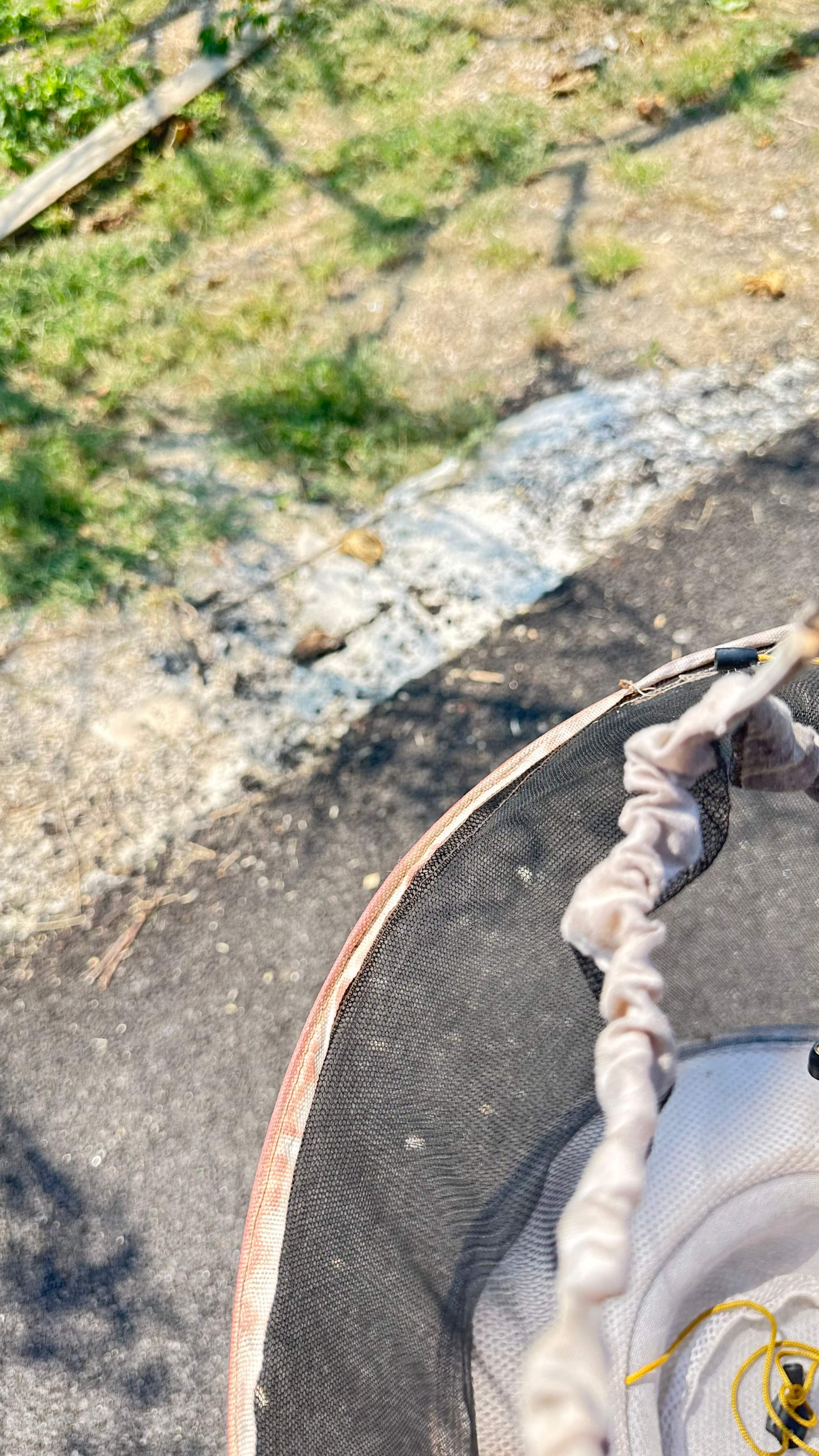 City Tree Company  by Rockwall Honey Bee Company