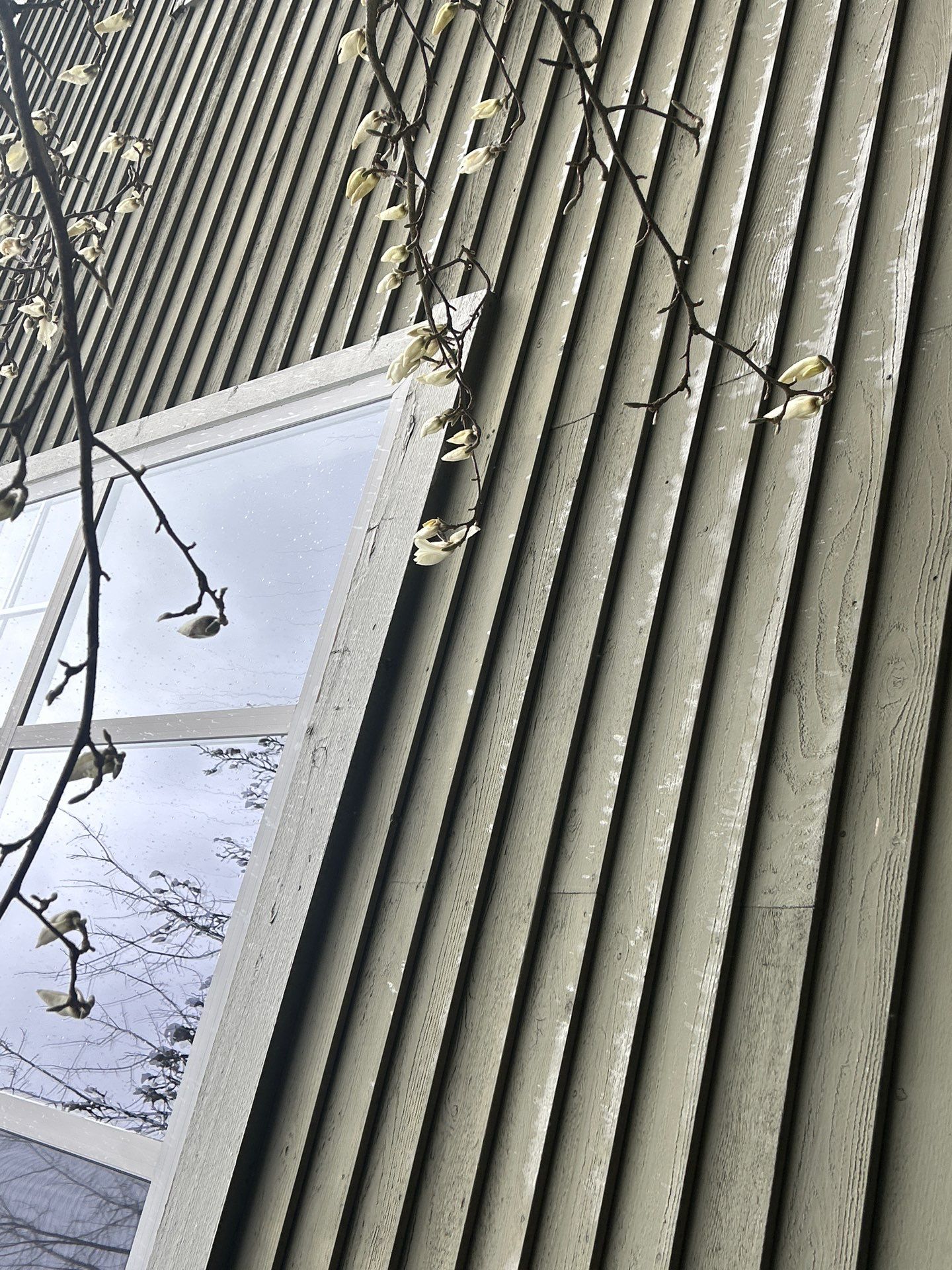 Project in Bellevue by Connolly Construction Company