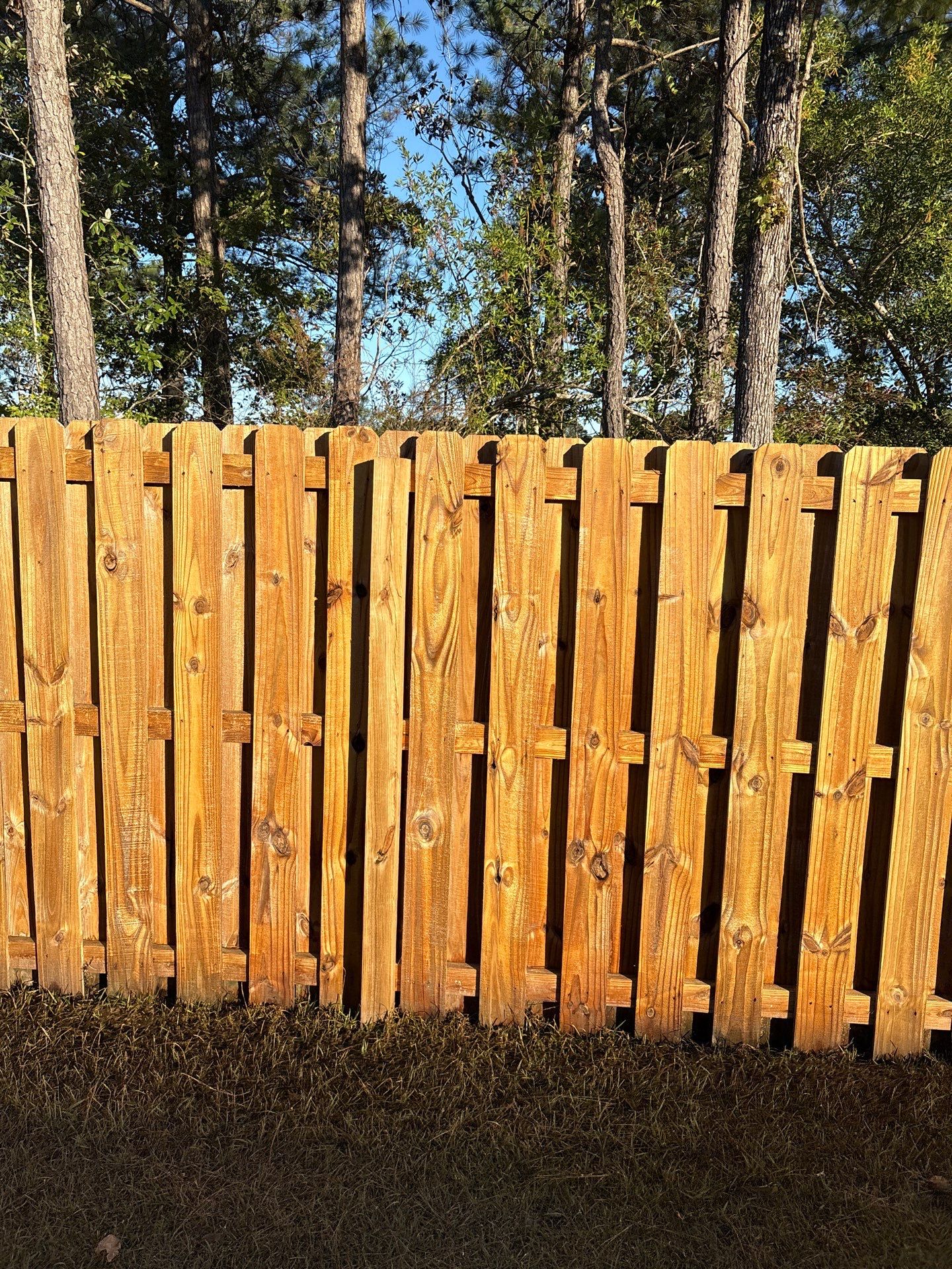 Wood Fence using Wood Sealant by DuraSeal