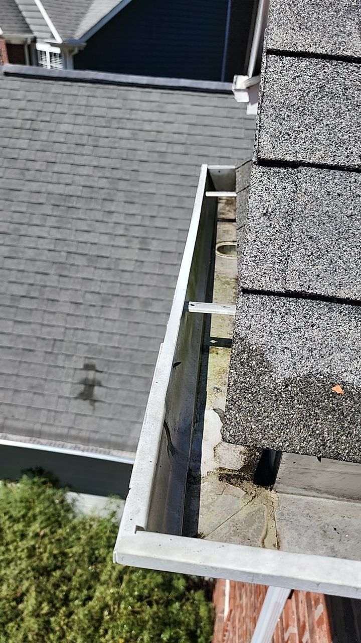 House Wash using cleaner by Power Wash Masters LLC