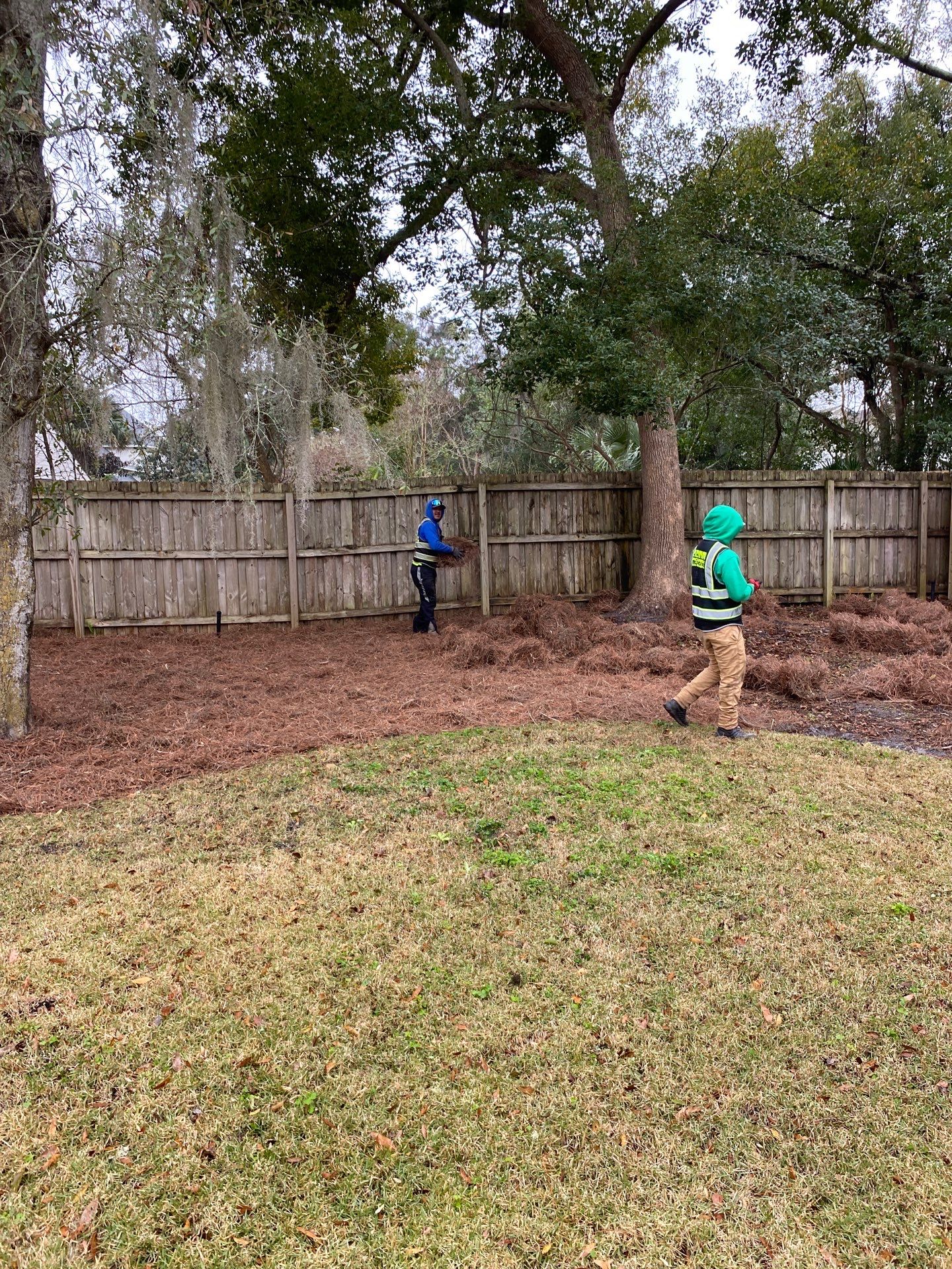 Deerwood Resident | Pine Straw Install by ProGreen Services