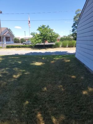 Tree Trimming using Tree Pruing