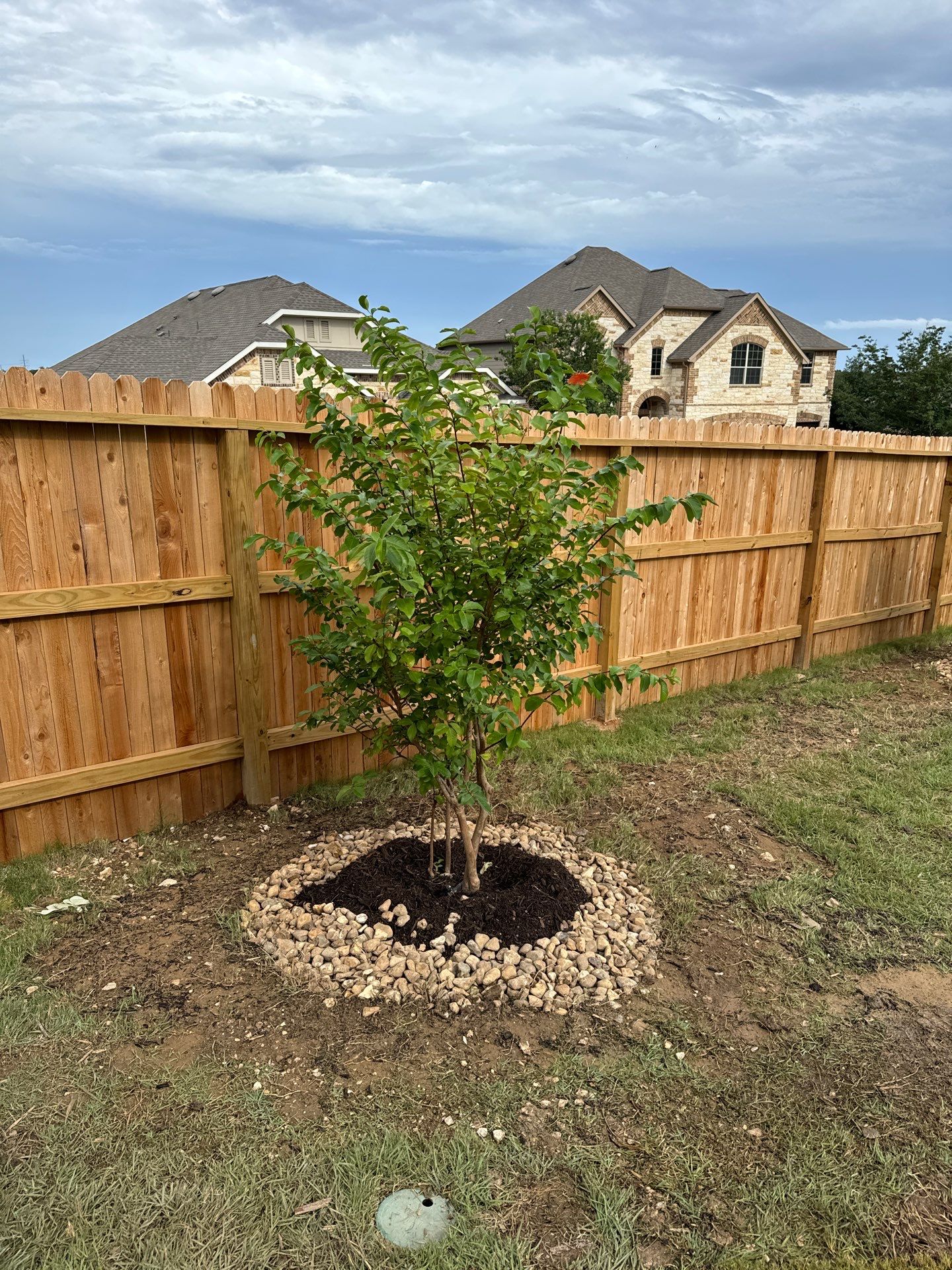 Indian Springs - San Antonio, TX by Hole In One Lawns, LLC